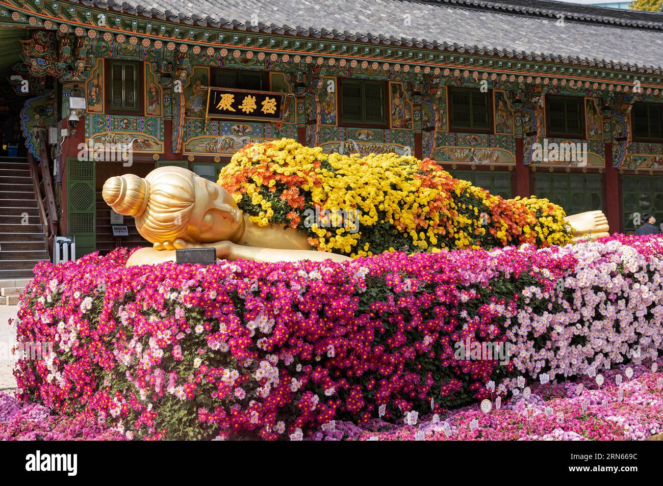 Buddha statue decorated with flowers, reclining, gold, Chrysanthemum Festival, Jogyesa Temple, Jongno-gu, Seoul Stock Photo