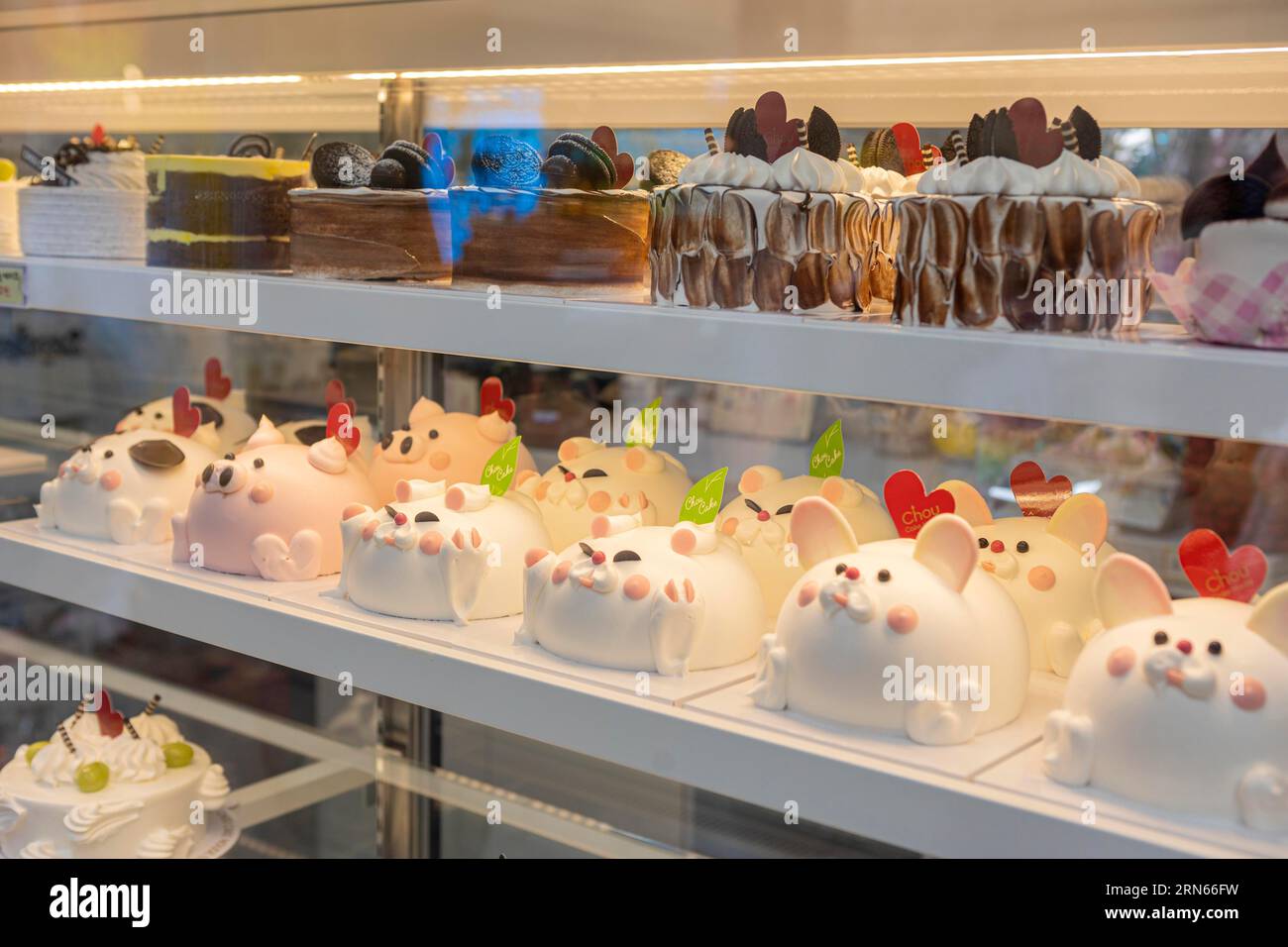 Cute, colourful cakes in shop, Hongdae student district, Seoul Stock Photo