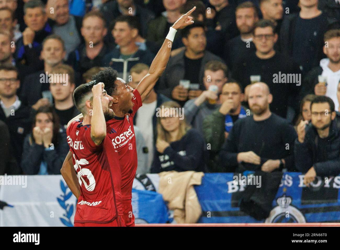 Brugge, Belgium. 31st Aug, 2023. Osasuna's Johan Mojica celebrates after scoring during a soccer game between Belgian Club Brugge KV and Spanish Club Atletico Osasuna, Thursday 31 August 2023 in Brugge, the return leg of the play-off for the UEFA Europa Conference League competition. BELGA PHOTO KURT DESPLENTER Credit: Belga News Agency/Alamy Live News Stock Photo