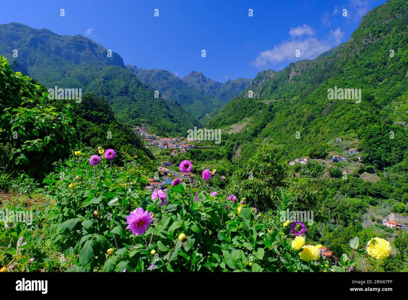 Berge, Ort Urzal, Dahlien, Boaventura, Nordseite, Insel Madeira, island