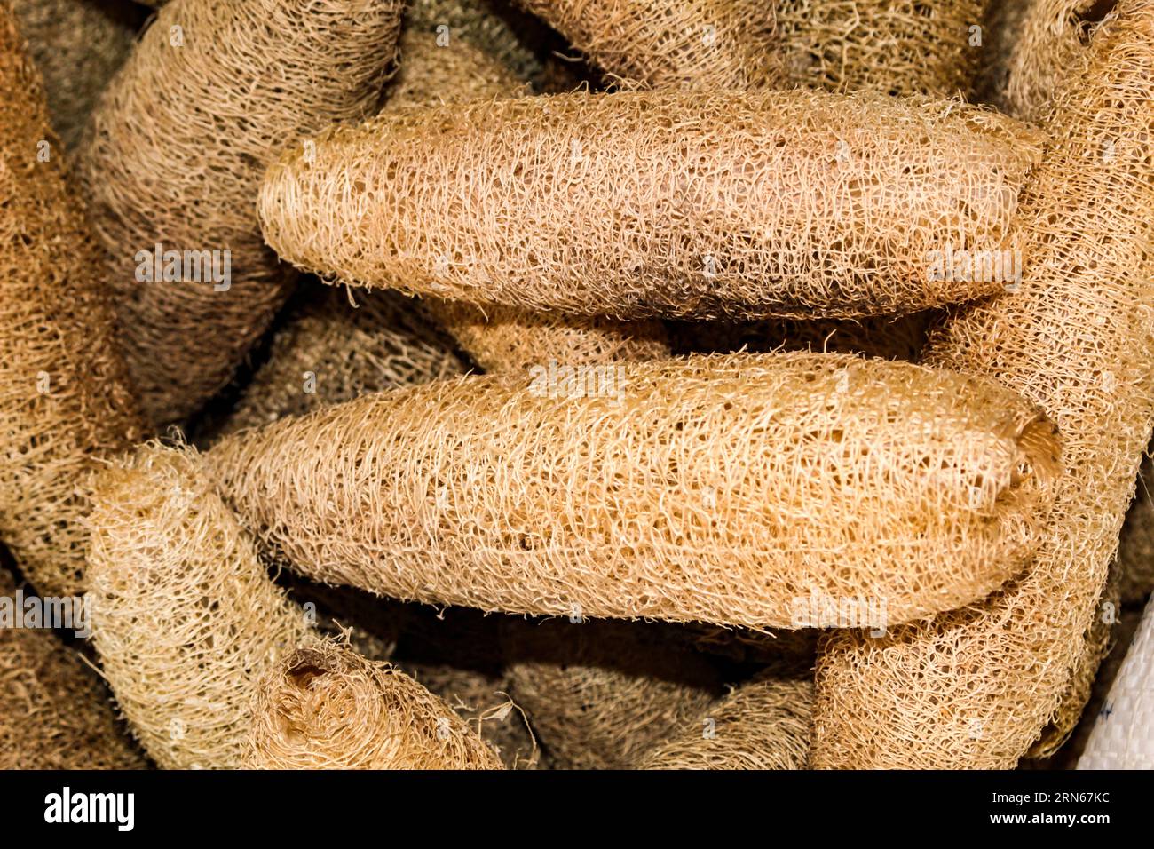 Vegetable sponges or vegetable loofah, used as a bath exfoliant, made from the fruit of Luffa aegyptiaca; Luffa cylllindrica, Stock Photo