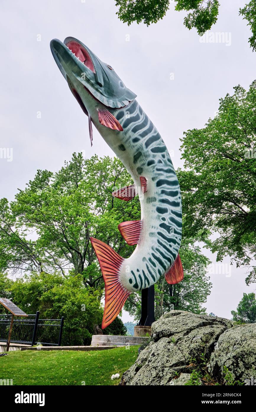 At 40 feet tall, Huskie the Muskie is an outdoor sculpture of a muskellunge in McLeod Park in Kenora Ontario.  Fishing is a popular activity in the ar Stock Photo