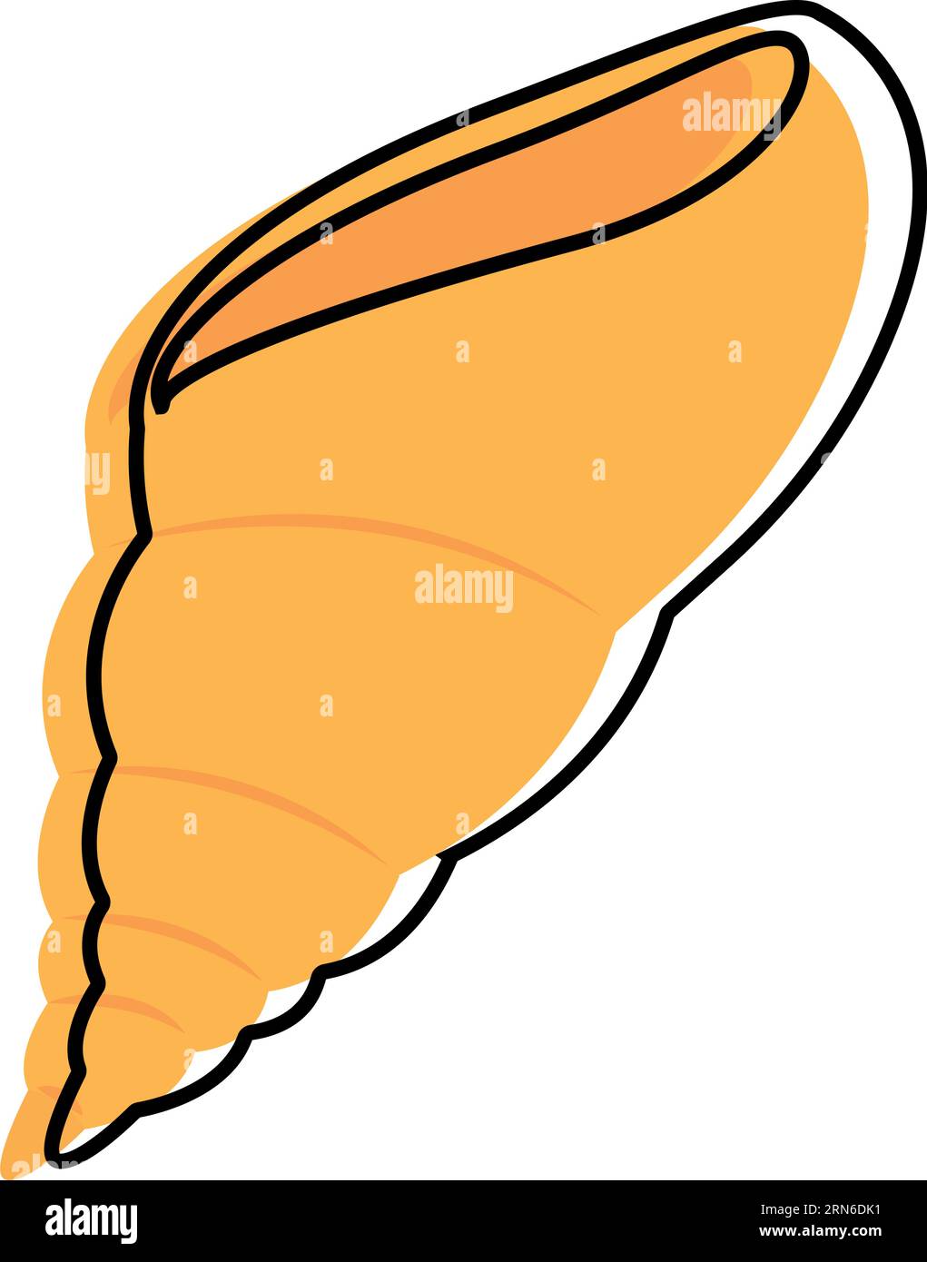 Isolated colored sketch of a sea shell icon Vector Stock Vector Image ...