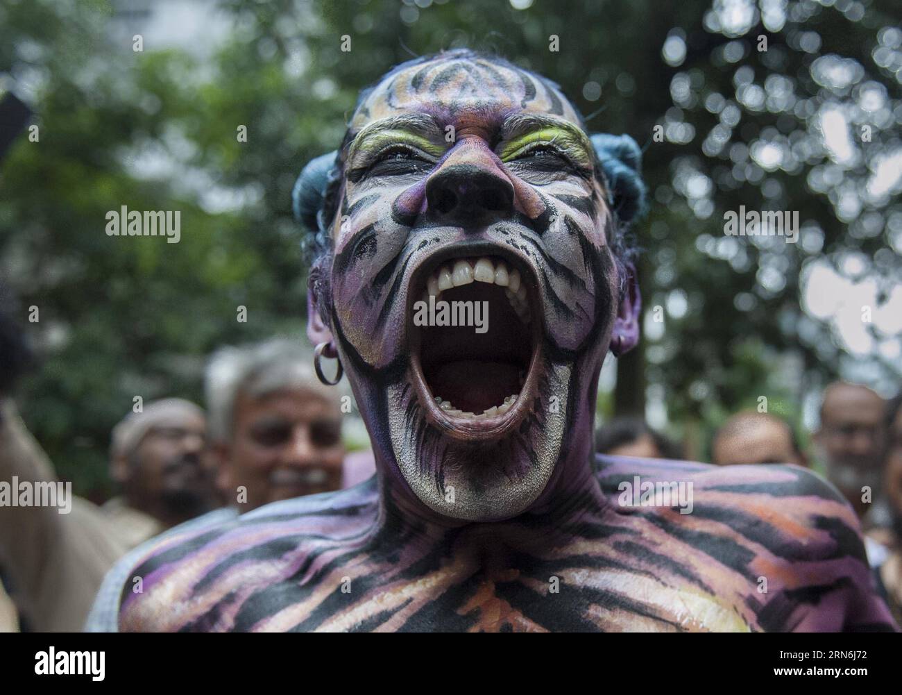 (150729) -- KOLKATA, July 29, 2015 -- An Indian artist painted as tiger performs during a celebration of World Tiger Day in Kolkata, capial of eastern Indian state West Bengal, July 29, 2015. World Tiger Day is annually celebrated on July 29, aiming to raise awareness for tiger conservation. The population of tigers in India is estimated to be around 2,226, which represents a rise of over 30 percent since the last count in 2010, according to the latest census report released in January. ) (djj) INDIA-KOLKATA-WORLD TIGER DAY TumpaxMondal PUBLICATIONxNOTxINxCHN   150729 Kolkata July 29 2015 to I Stock Photo
