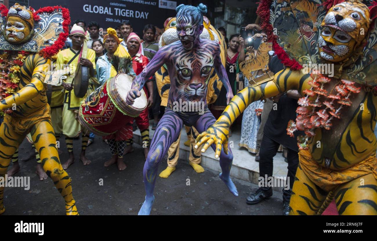 (150729) -- KOLKATA, July 29, 2015 -- Indian artists painted as tigers perform during a celebration of World Tiger Day in Kolkata, capial of eastern Indian state West Bengal, July 29, 2015. World Tiger Day is annually celebrated on July 29, aiming to raise awareness for tiger conservation. The population of tigers in India is estimated to be around 2,226, which represents a rise of over 30 percent since the last count in 2010, according to the latest census report released in January. ) (djj) INDIA-KOLKATA-WORLD TIGER DAY TumpaxMondal PUBLICATIONxNOTxINxCHN   150729 Kolkata July 29 2015 Indian Stock Photo