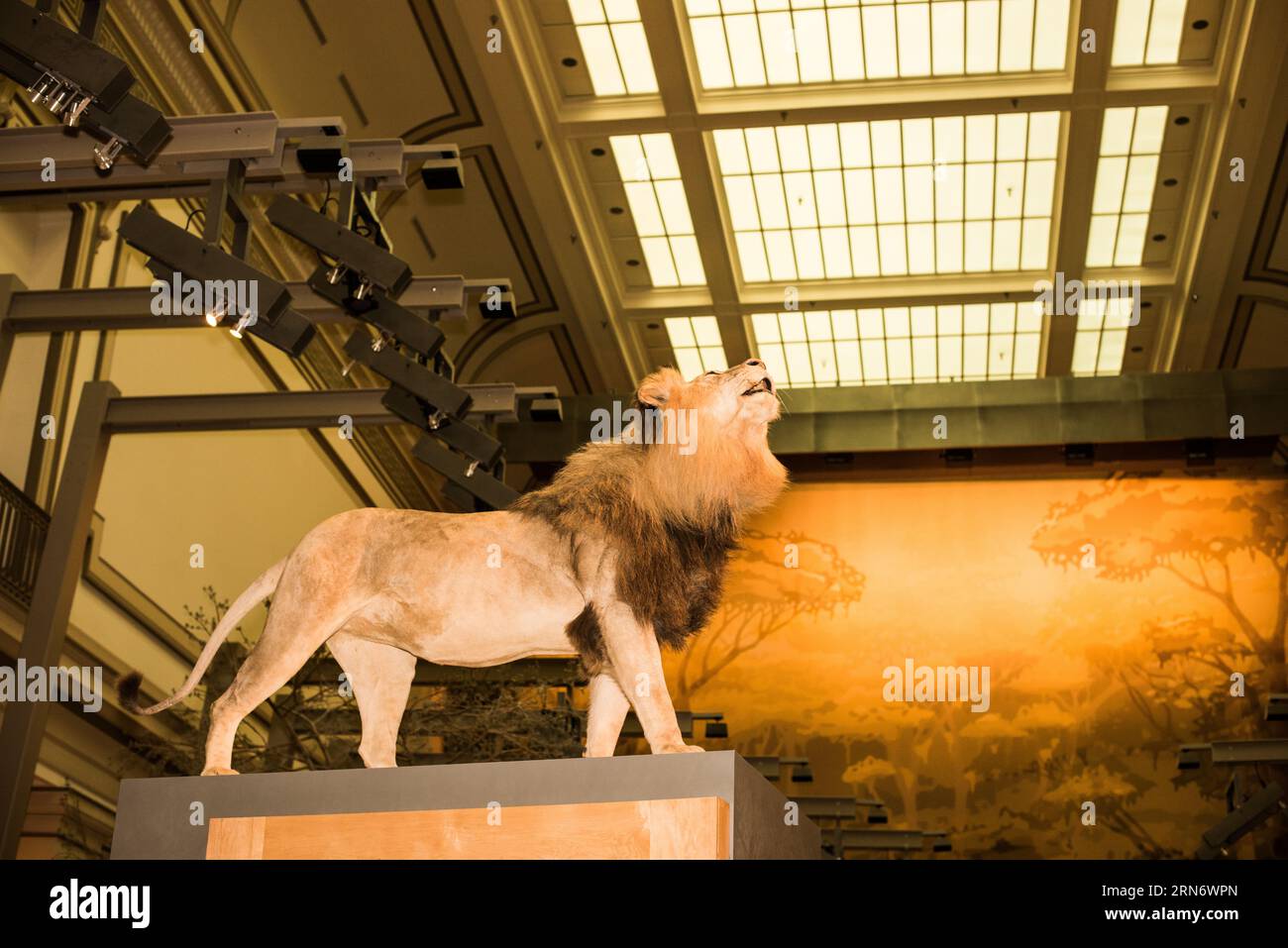 WASHINGTON DC, United States — An engaging exhibit at the Smithsonian's 