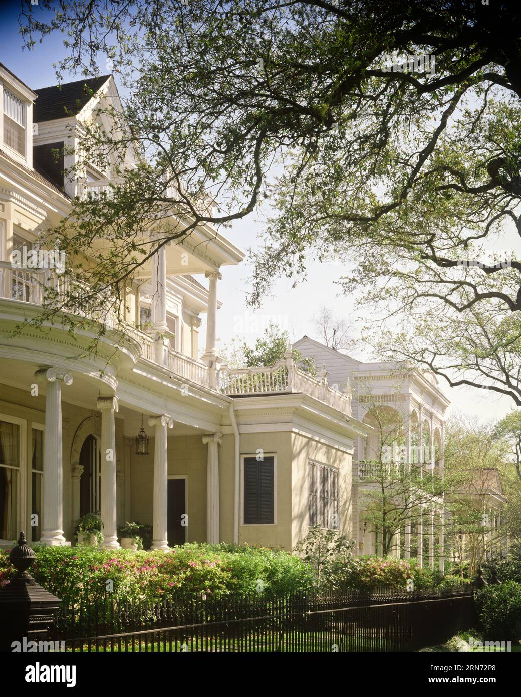 1990s GRAND VICTORIAN AND ITALIANTE HOMES MANSIONS ALONG ST. CHARLES AVENUE NEW ORLEANS LOUISIANA  - kr89669 GRD001 HARS STRUCTURES RESIDENCE ST. EDIFICE CHARLES DEEP SOUTH MANSIONS OLD FASHIONED Stock Photo