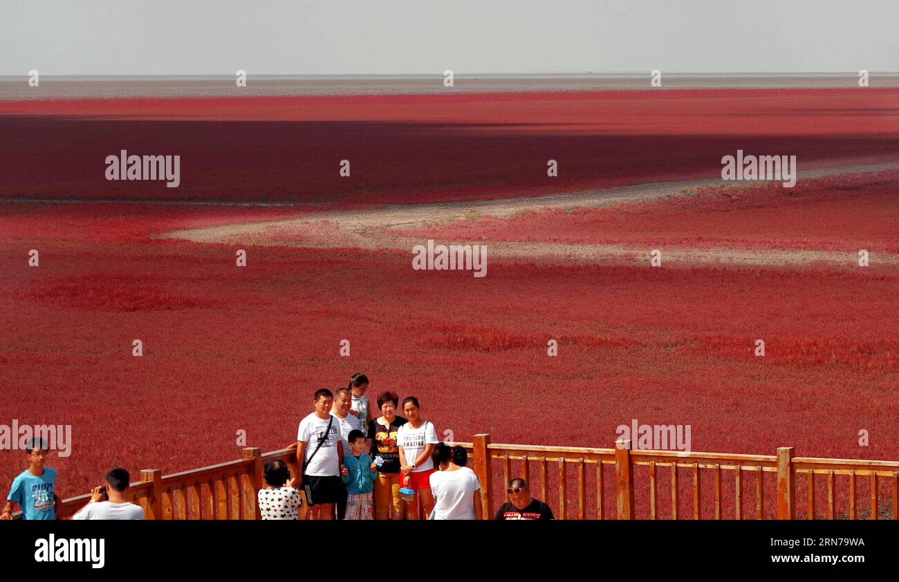 (150829) -- SHENYANG, Aug. 29, 2015 -- Tourists visit the Red Beach in Panjin city of northeast China s Liaoning Province, Aug. 29, 2015. The 13,333-hectare beach is covered by Suaeda salsa and has become a tourist attraction. ) (zhs) CHINA-LIAONING-RED BEACH (CN) TaoxMing PUBLICATIONxNOTxINxCHN   150829 Shenyang Aug 29 2015 tourists Visit The Red Beach in Panjin City of Northeast China S Liaoning Province Aug 29 2015 The 13 333 hectare Beach IS Covered by  Salsa and has Become a Tourist Attraction zhs China Liaoning Red Beach CN TaoxMing PUBLICATIONxNOTxINxCHN Stock Photo