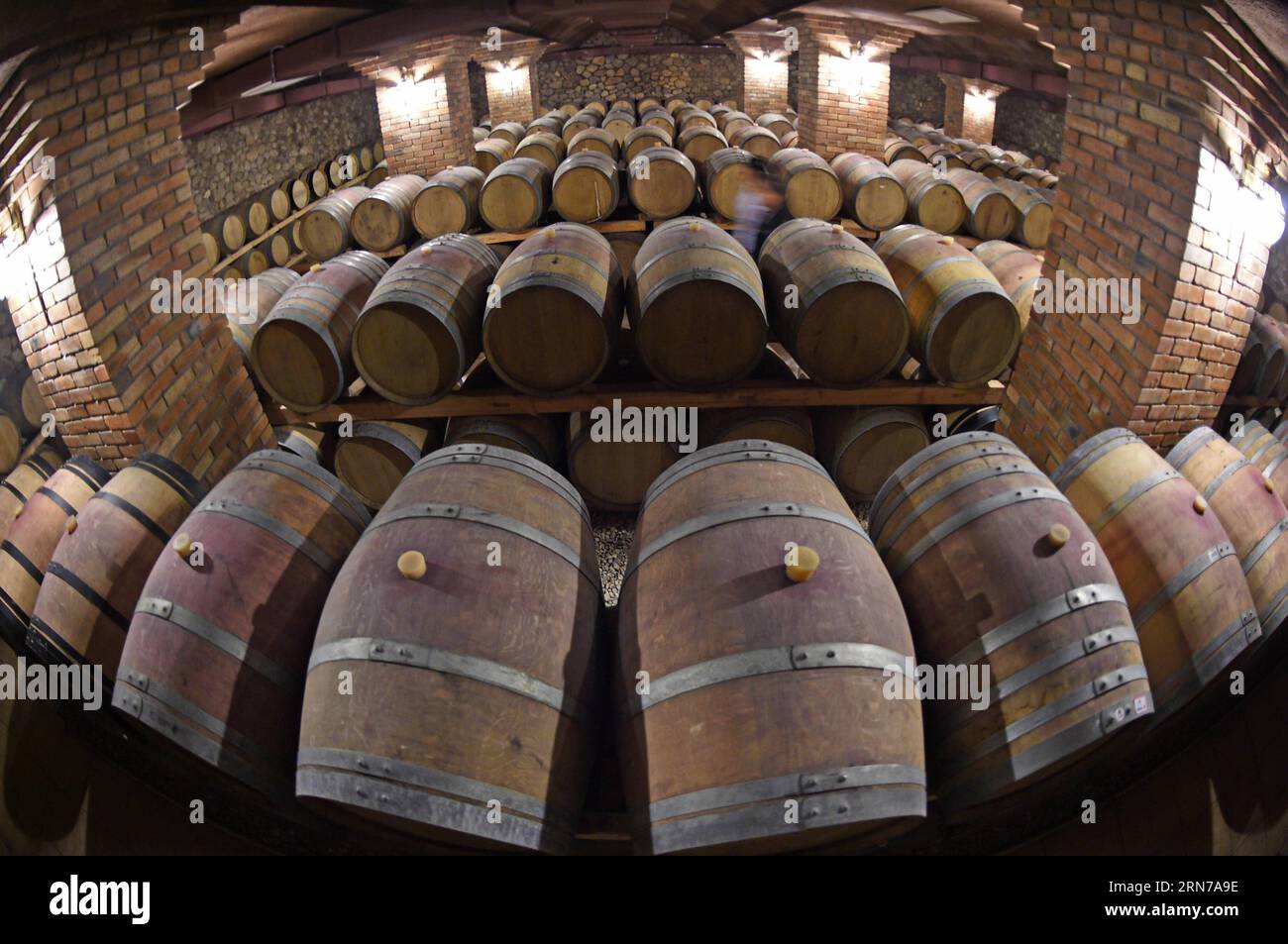 Photo taken on Aug. 28, 2015 shows a wine cellar of a chateau at the eastern foot of Helan Mountain, northwest China s Ningxia Hui Autonomous Region. Many chateaus at the eastern foot of Helan Mountain, a golden belt for planting grapes, developed their tourism by attracting tourists with chateau cultures. Ningxia region, which has 590,000 mu (39,333 hectares) of vineyards, has planned to build 10 vineyard towns and more than 100 large-scale chateaus by 2020. ) (lfj) CHINA-NINGXIA-CHATEAU TOURISM (CN) WangxPeng PUBLICATIONxNOTxINxCHN   Photo Taken ON Aug 28 2015 Shows a Wine cellar of a Chatea Stock Photo