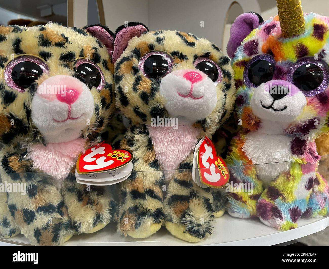 Ty Beanie Babies are for sale in a retail store, 2023, New York City, USA Stock Photo