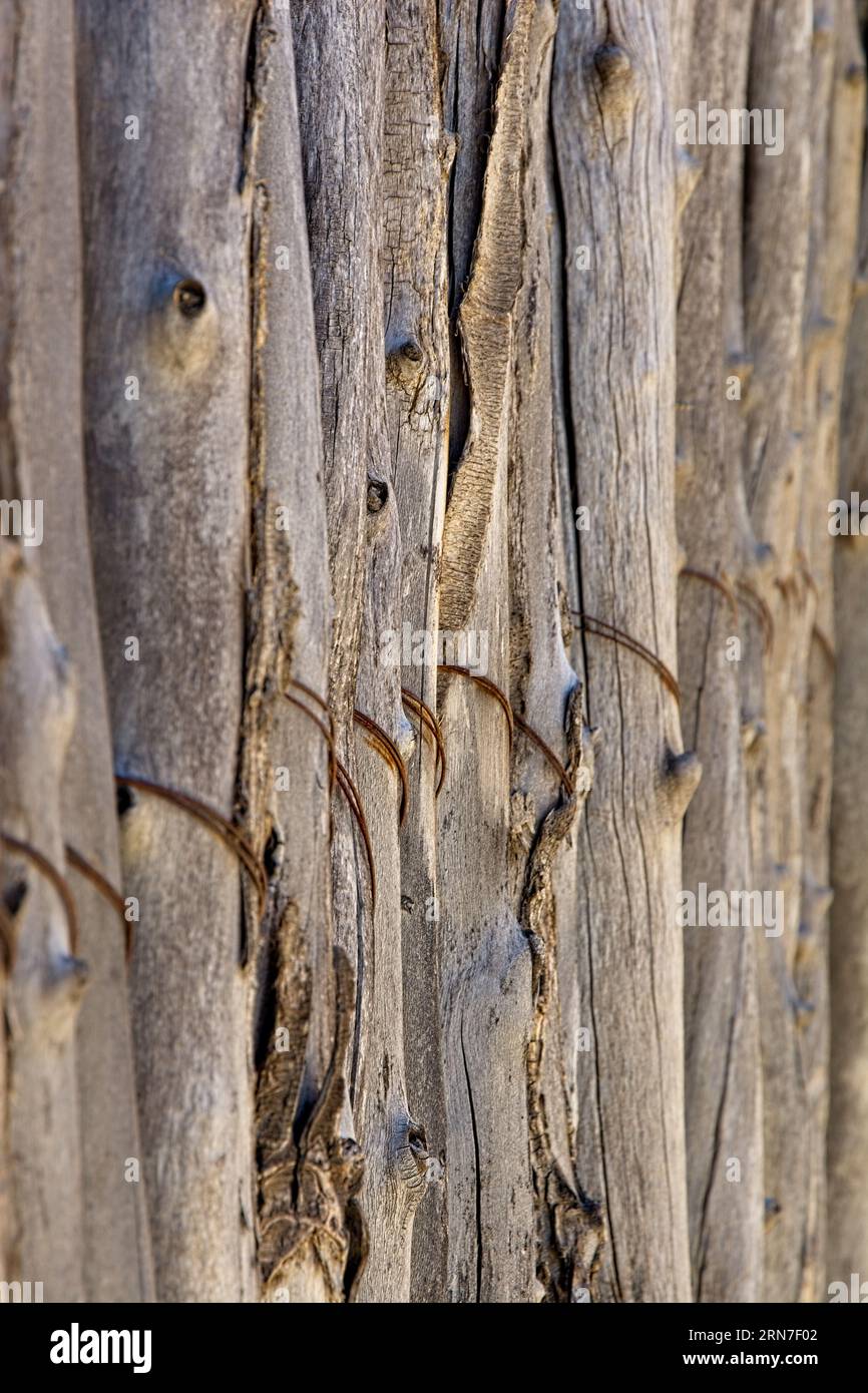 Rough wooden fence pickets secured by rusty wire Stock Photo