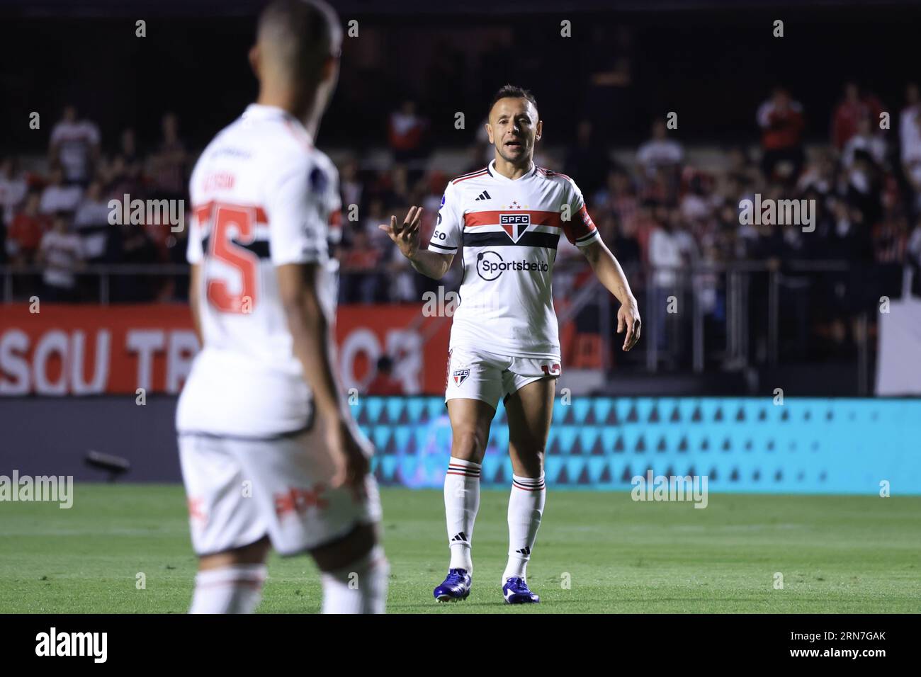 Sao Paulo, Brazil. 31st Aug, 2023. SP - SAO PAULO - 08/31/2023 - COPA SUL- AMERICANA 2023, SAO PAULO X LDU - Sao Paulo player Arboleda celebrates his  goal during a match against