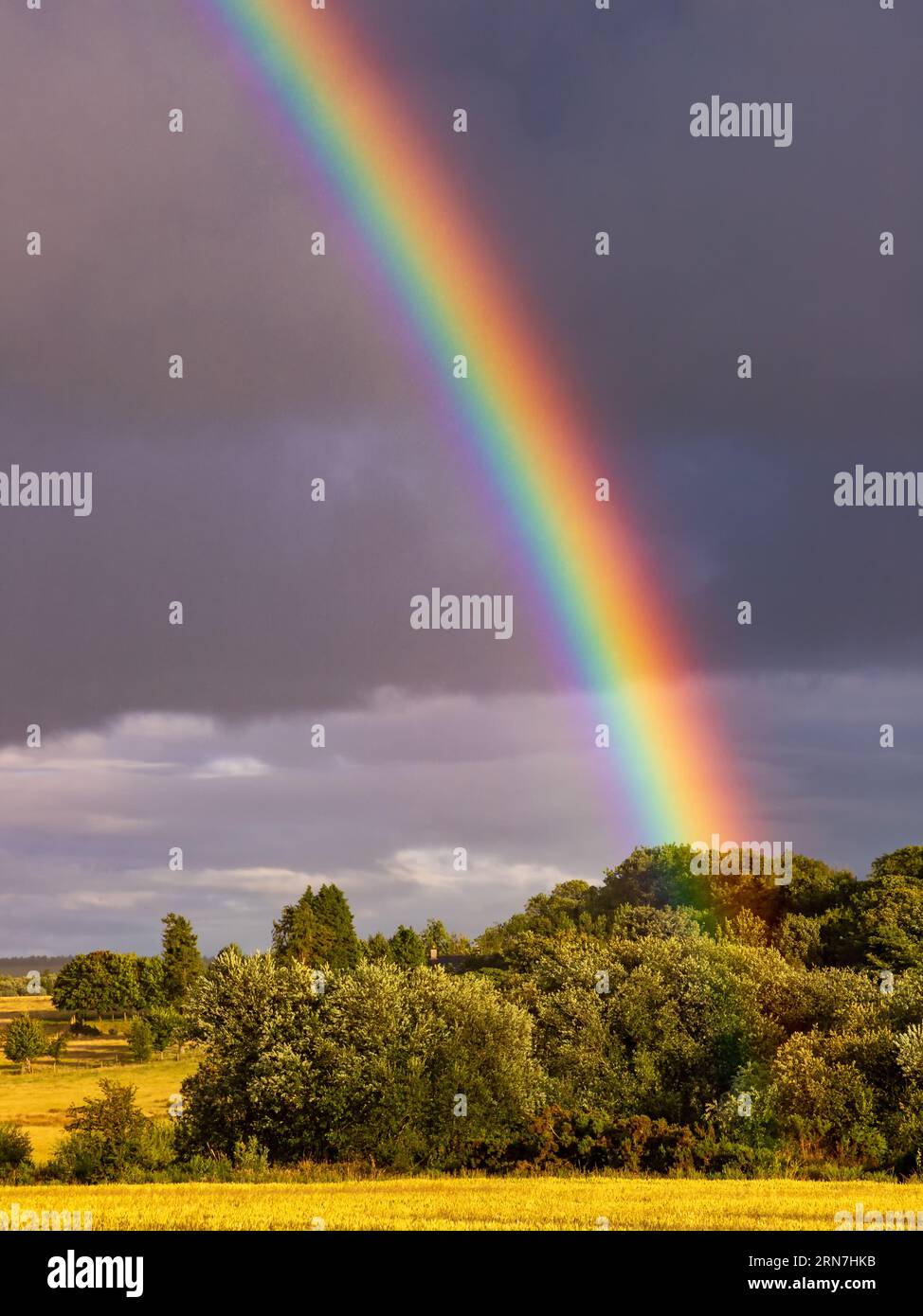 Rainbown over wheat field, Rathdrum, Wicklow, Ireland Stock Photo