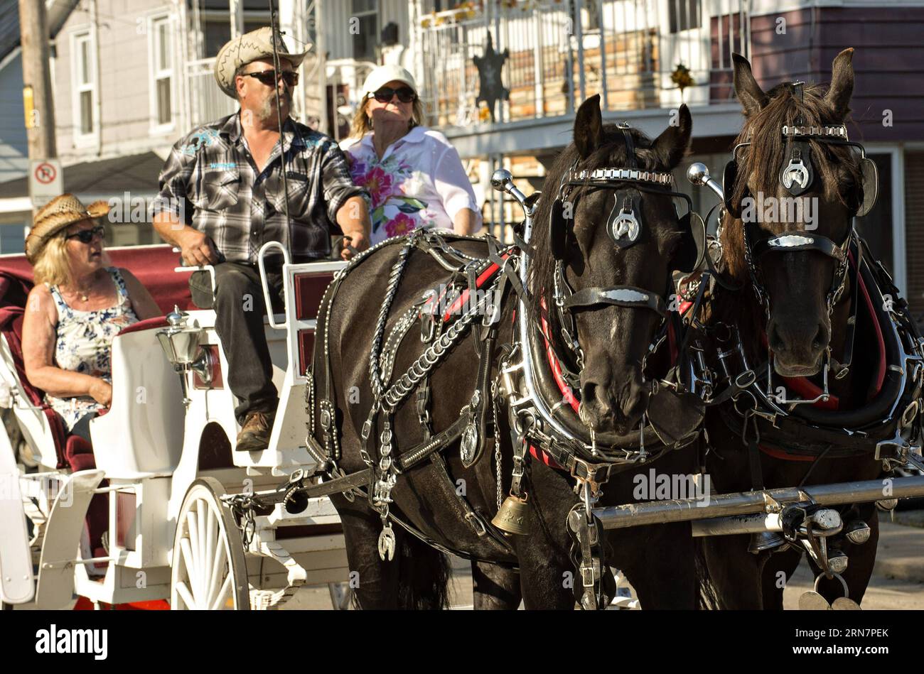 (150916) -- QUEBEC, Sept. 16, 2015 -- People take a carriage during the Western Festival in Quebec, Canada, Sept. 16, 2015. The village of St-Tite, Canada, hosted more than 600,000 visitors for the two-week Western Festival St-Tite which is also east Canada s largest Rodeo. In addition to traditional rodeo competitions, there are also multiple cultural activities. ) CANADA-QUEBEC-WESTERN-FESTIVAL-RODEO AndrewxSoong PUBLICATIONxNOTxINxCHN   Quebec Sept 16 2015 Celebrities Take a carriage during The Western Festival in Quebec Canada Sept 16 2015 The Village of St tite Canada hosted More than 600 Stock Photo