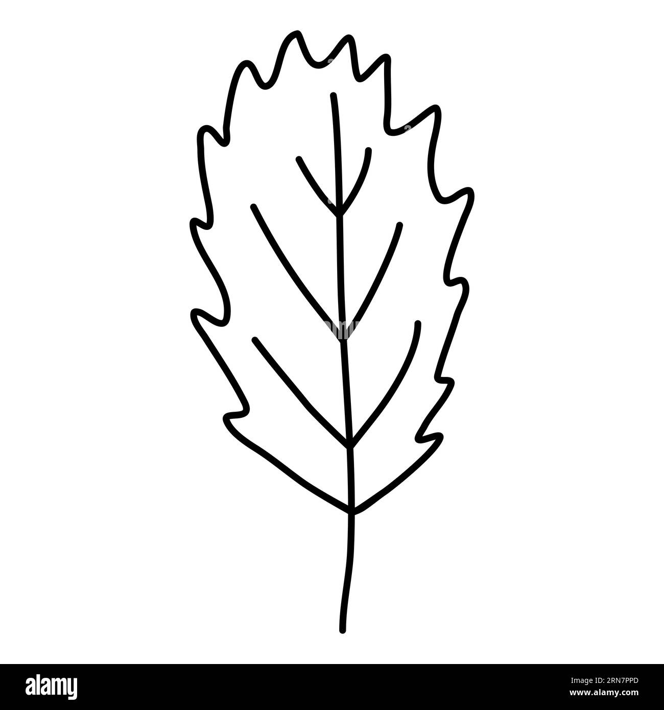 Simple serrated leaf, doodle style flat vector outline illustration for kids coloring book Stock Vector