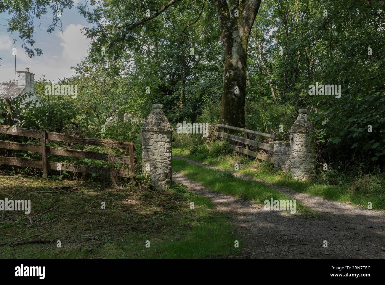 Old stone gate posts in the woods in a remote part of Scotland Stock ...