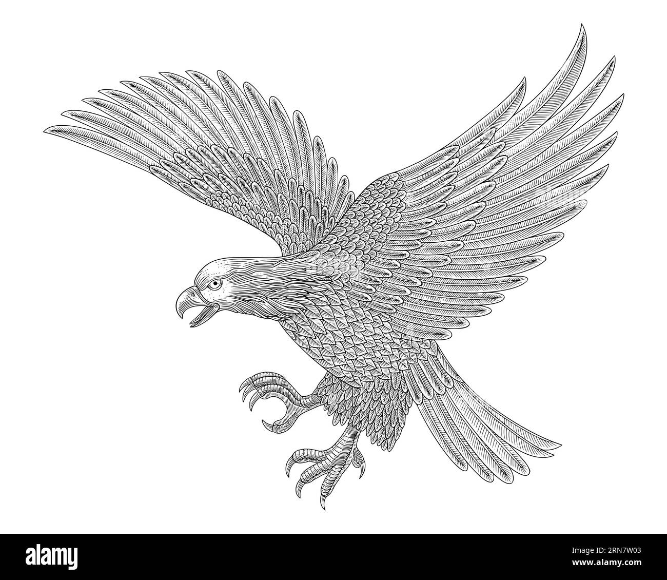 Bald eagle flying attacking, Vintage engraving drawing style vector illustration Stock Vector