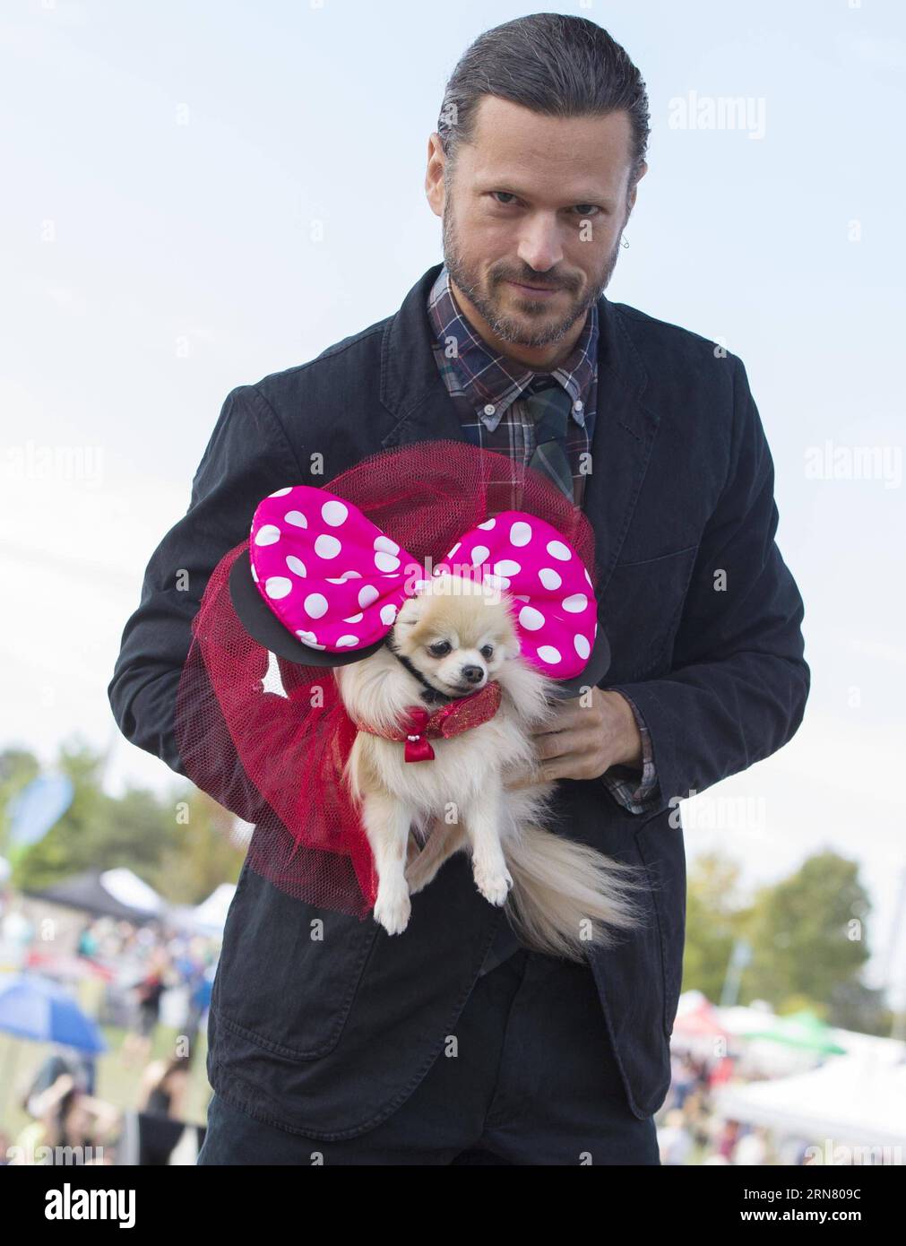 (150927) -- TORONTO, Sept. 27, 2015 -- A model displays a dressed up pet dog on stage during the fashion show event of the 2015 Woofstock at Woodbine Park in Toronto, Canada, Sept. 27, 2015. Woofstock is the largest outdoor festival for dogs in North America. ) CANADA-TORONTO-WOOFSTOCK-PET DOG-FASHION SHOW ZouxZheng PUBLICATIONxNOTxINxCHN   Toronto Sept 27 2015 a Model Displays a Dressed up Pet Dog ON Stage during The Fashion Show Event of The 2015 Woofstock AT Woodbine Park in Toronto Canada Sept 27 2015 Woofstock IS The Largest Outdoor Festival for Dogs in North America Canada Toronto Woofst Stock Photo