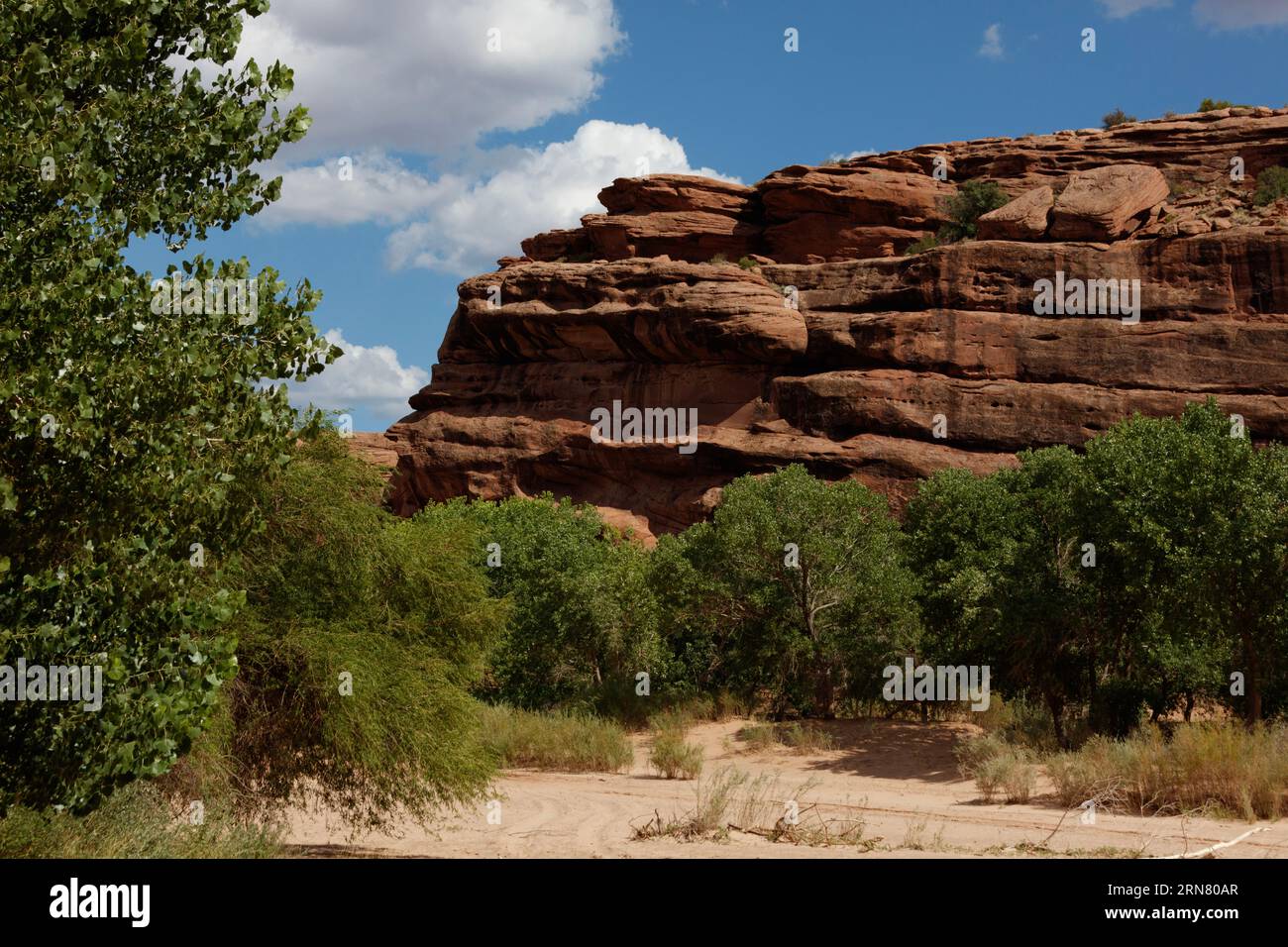 Landscape of sculpted rock formation as seen from the bottom of Canyon De Chelly National Monument - Navajo Indian Reservation, Arizona Stock Photo