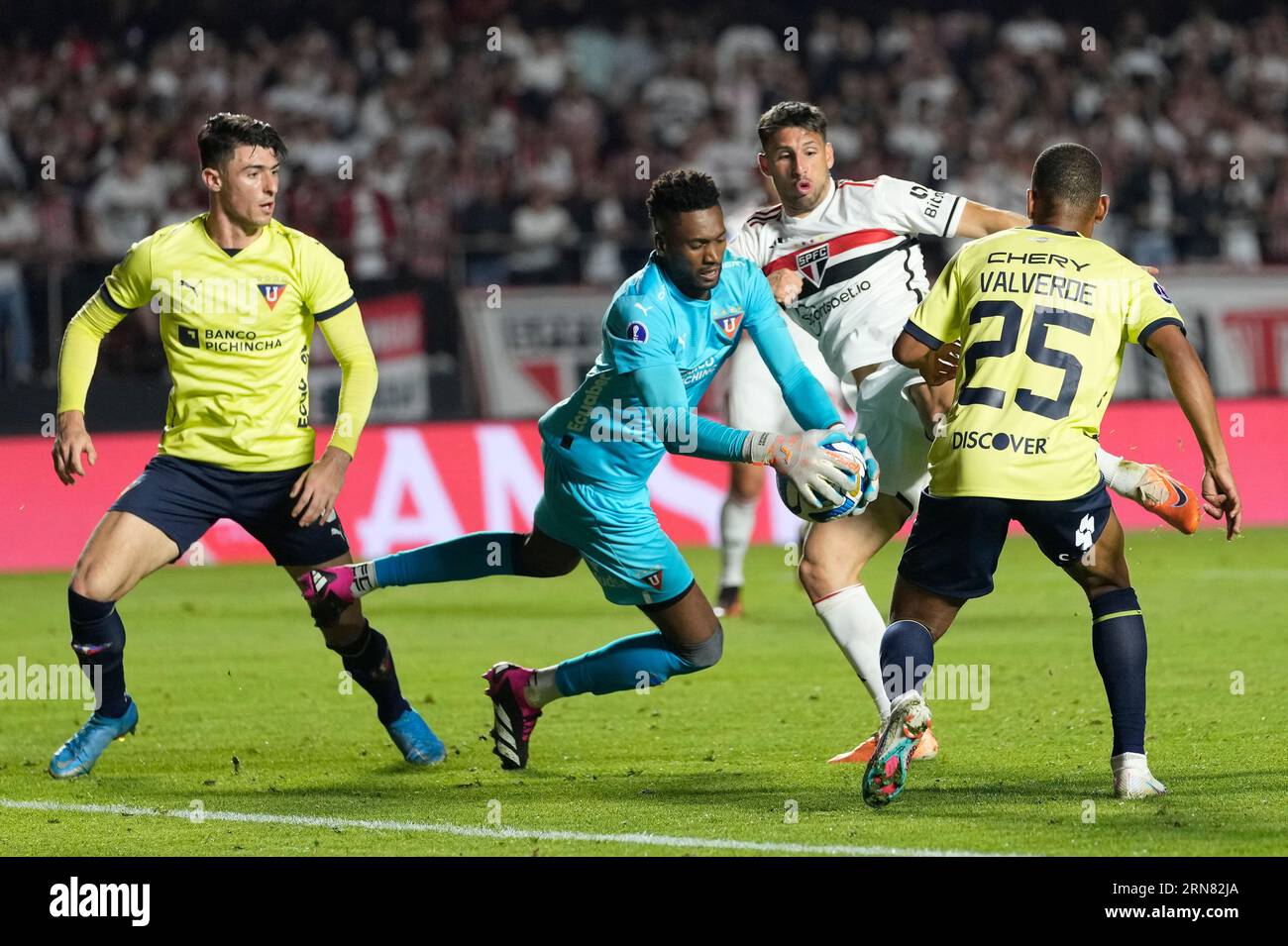 Calleri of Sao Paulo looks on during a match between Sao Paulo and