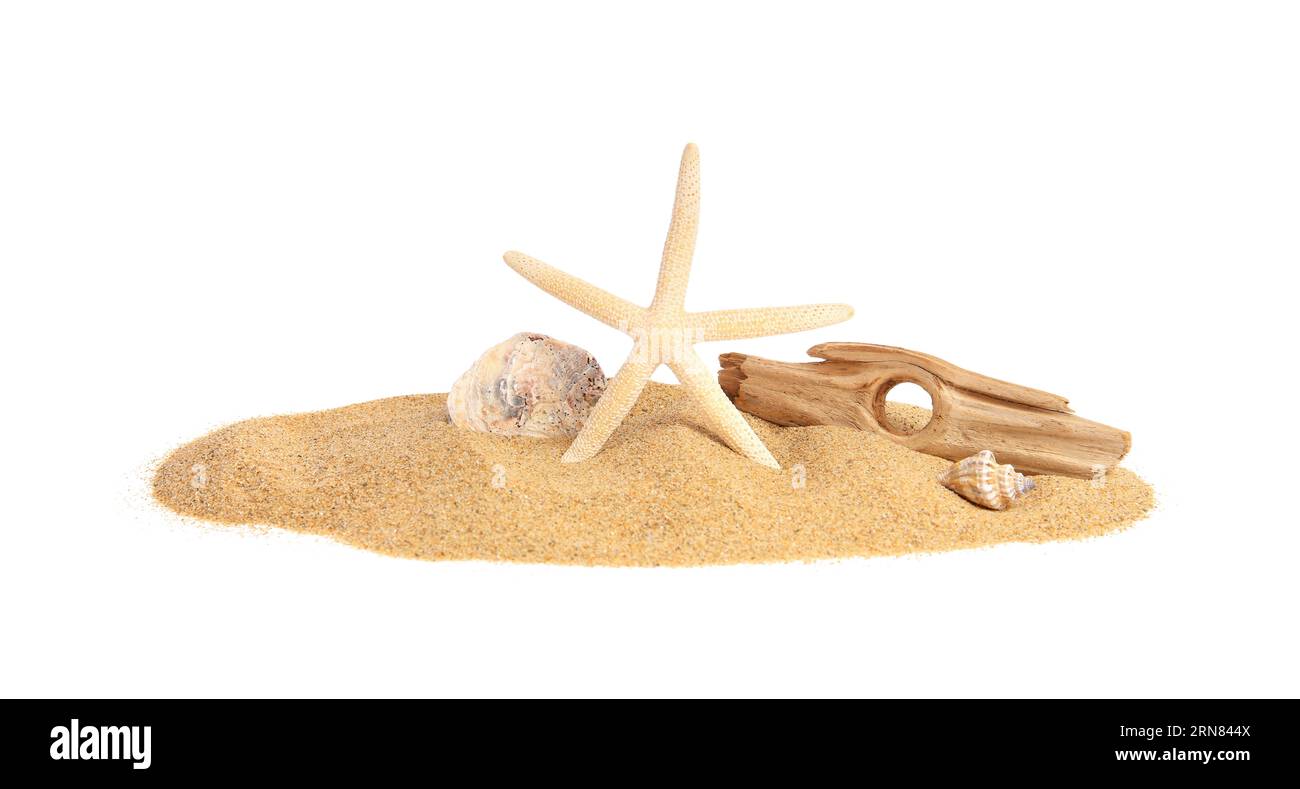 Sand Star Shell White sea shells on sand Cut Out Stock Images & Pictures - Alamy