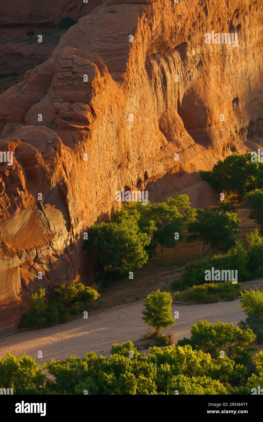 South indian canyon drive hi-res stock photography and images - Alamy
