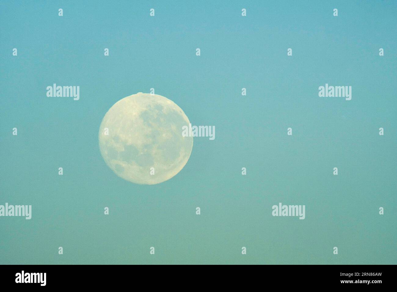 The Super Blue Moon beginnig to set on the Western Horizon as the sun rises in the east Credt PjHickox/Alamy Live News Stock Photo