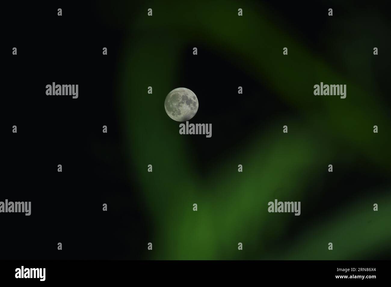 The super blue moon is seen in Srinagar, the Summer capital of Indian