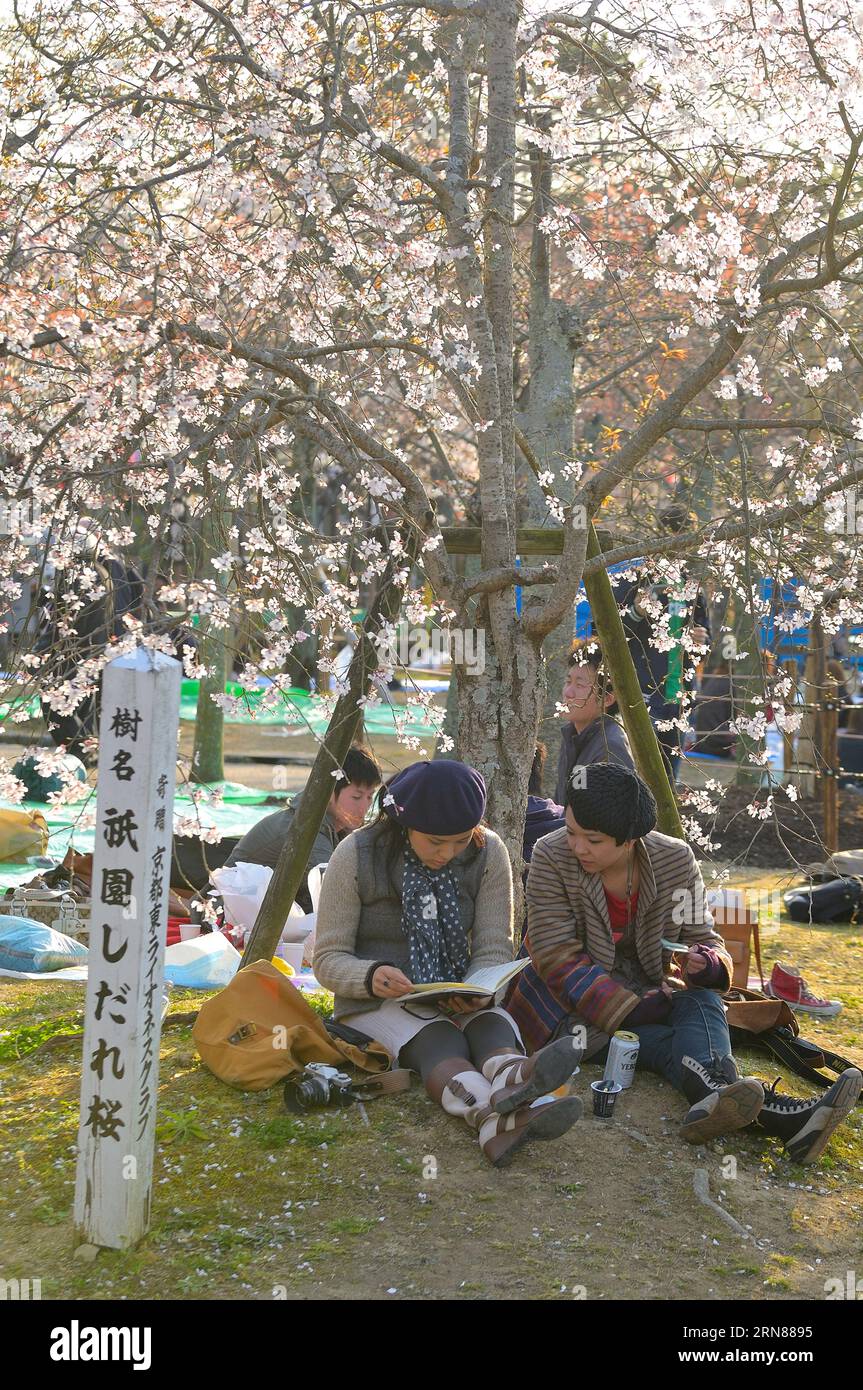 The cherry blossom festival in Maruyama Park is extremely popular with locals and visitors alike, Kyoto JP Stock Photo