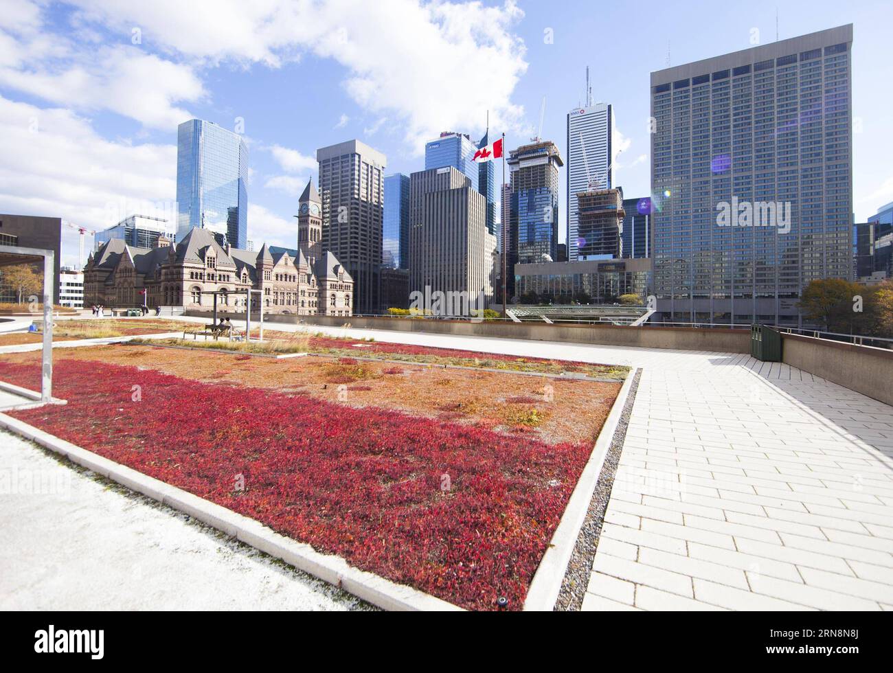 (151031) -- TORONTO, Oct. 30, 2015 -- Toronto City Hall s podium green roof is seen in Toronto, Canada, Oct. 30, 2015. Toronto is the first city in North America to have a bylaw to require and govern the construction of green roofs on new development. From Feb. 1, 2010 to March 1, 2015, 260 green roofs had been created in Toronto, consisting of 196,000 square metres of green roof area. A total of 444 green roofs exist in Toronto so far. ) CANADA-TORONTO-GREEN ROOF ZouxZheng PUBLICATIONxNOTxINxCHN   Toronto OCT 30 2015 Toronto City Hall S Podium Green Roof IS Lakes in Toronto Canada OCT 30 2015 Stock Photo