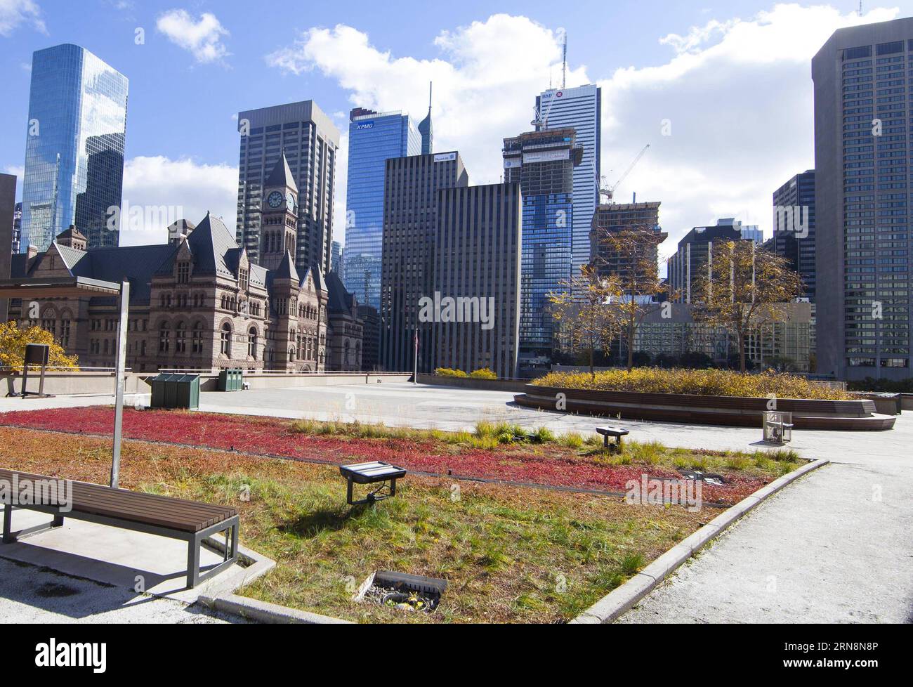 (151031) -- TORONTO, Oct. 30, 2015 -- Toronto City Hall s podium green roof is seen in Toronto, Canada, Oct. 30, 2015. Toronto is the first city in North America to have a bylaw to require and govern the construction of green roofs on new development. From Feb. 1, 2010 to March 1, 2015, 260 green roofs had been created in Toronto, consisting of 196,000 square metres of green roof area. A total of 444 green roofs exist in Toronto so far. ) CANADA-TORONTO-GREEN ROOF ZouxZheng PUBLICATIONxNOTxINxCHN   Toronto OCT 30 2015 Toronto City Hall S Podium Green Roof IS Lakes in Toronto Canada OCT 30 2015 Stock Photo