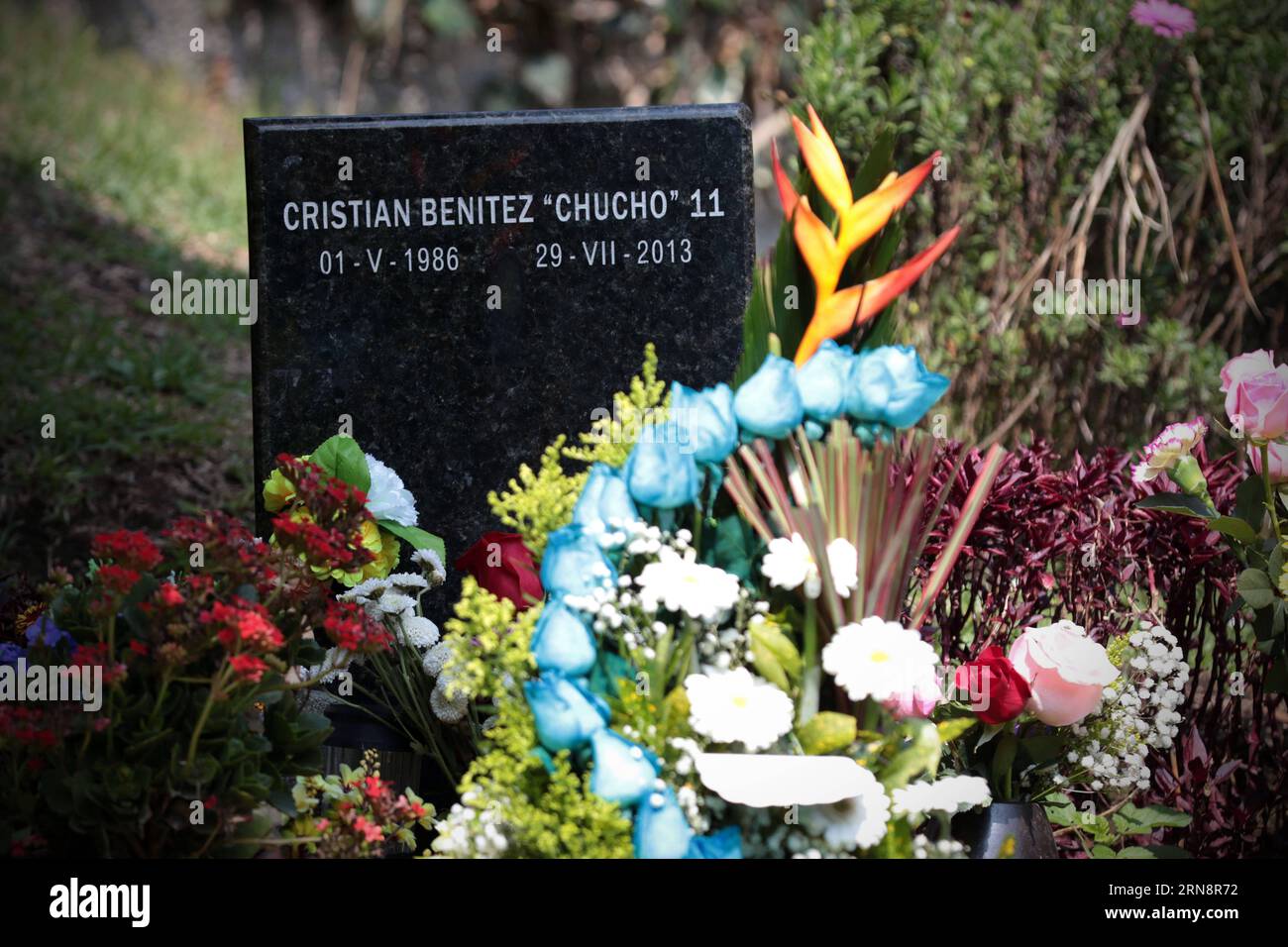 Flowers are seen at the tomb of former player of the Ecuadorian national soccer team, Cristian El Chucho Benitez, in commemoration of the Day of the Dead in the cemetery of Mount Olive in Quito city, capital of Ecuador, on Nov. 2, 2015. People go to the cemeteries of the country to visit their dead relatives on occasion of All Saints Day and the Day of the Dead, that are commemorated on Nov. 1 and 2, respectively. ) (da) (sp) ECUADOR-QUITO-ALL SAINTS DAY-DAY OF THE DEAD-COMMEMORATION SANTIAGOxARMAS PUBLICATIONxNOTxINxCHN   Flowers are Lakes AT The Tomb of Former Player of The Ecuadorian Nation Stock Photo