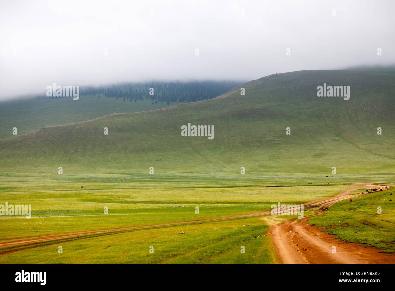 Dirt road heading to the foggy hill in the Orkhon valley in Mongolia. Stock Photo