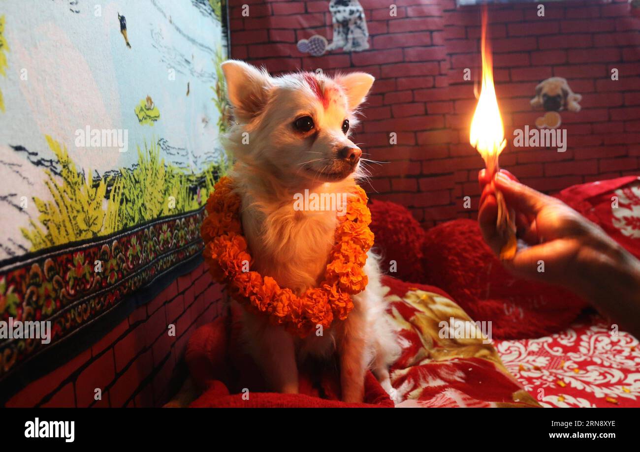 Worshipped animals hi-res stock photography and images - Alamy