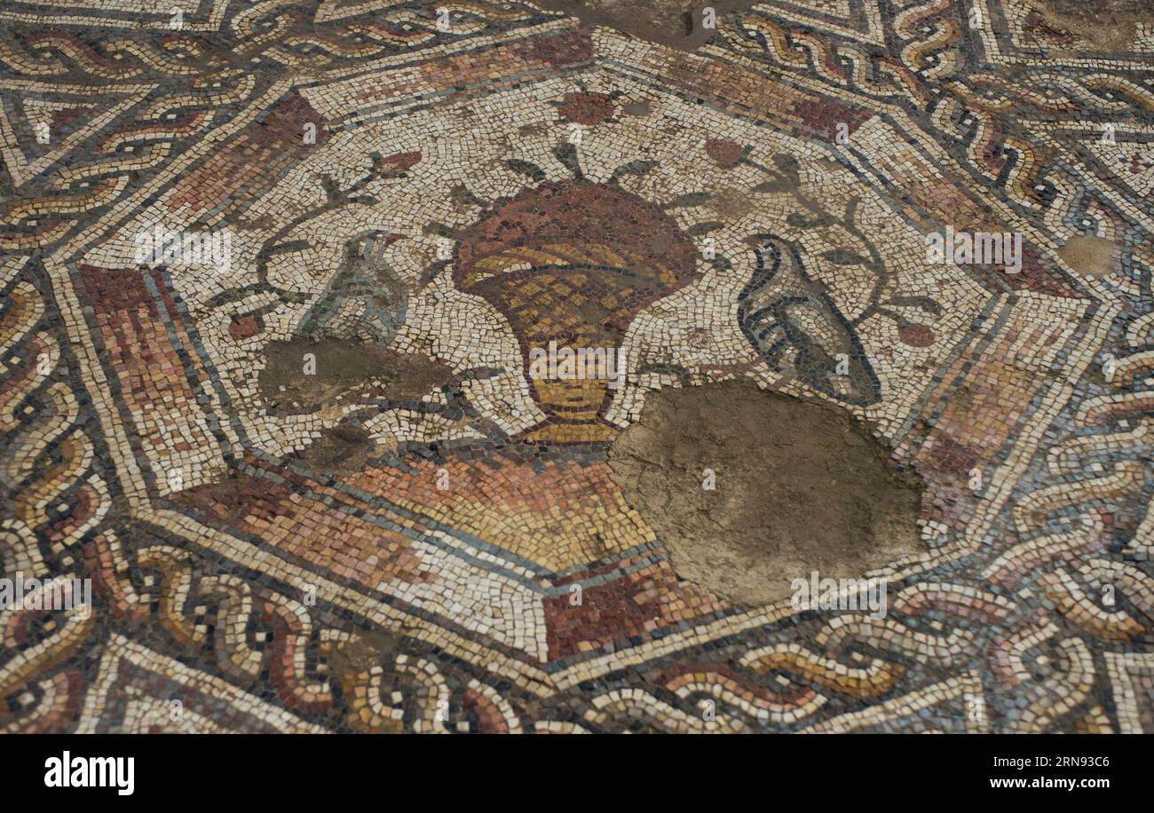 LOD (ISRAEL),  Part of a 1,700-year-old mosaic is seen in Lod, a city east of Tel Aviv in central Israel, on Nov. 16, 2015. Israel s Antiquities Authority unveiled Monday a Roman-era floor mosaic, which was unearthed last year during constructions of a visitor center meant to exhibit another mosaic discovered two decades ago in the same place. Archaeologists said that the breathtaking mosaic served as a floor of a villa s living room some 1,700 years ago. ) ISRAEL-LOD-MOSAIC-UNCOVERING LixRui PUBLICATIONxNOTxINxCHN   Lod Israel Part of a 1 700 Year Old Mosaic IS Lakes in Lod a City East of Tel Stock Photo