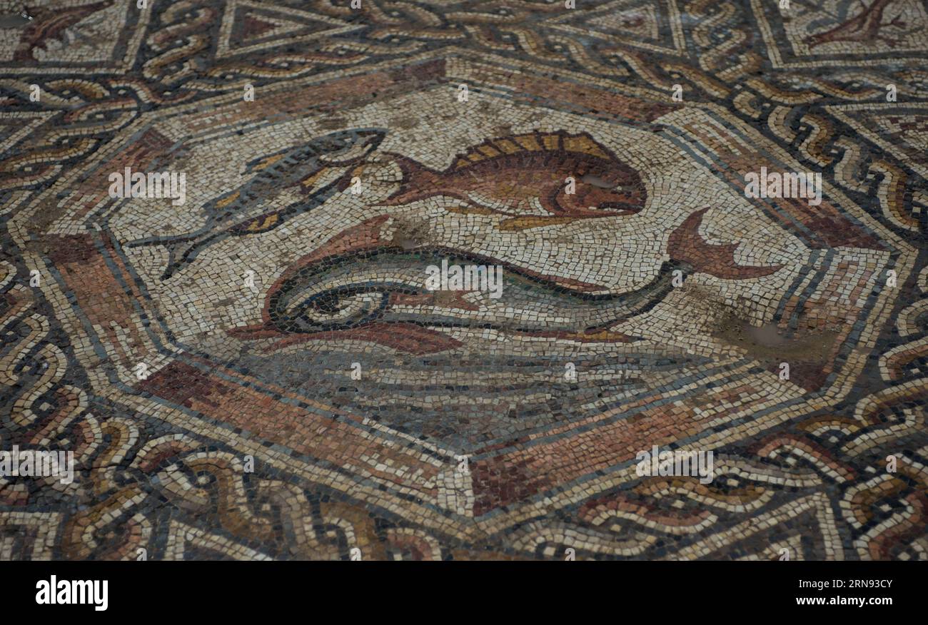 LOD (ISRAEL),  Part of a 1,700-year-old mosaic is seen in Lod, a city east of Tel Aviv in central Israel, on Nov. 16, 2015. Israel s Antiquities Authority unveiled Monday a Roman-era floor mosaic, which was unearthed last year during constructions of a visitor center meant to exhibit another mosaic discovered two decades ago in the same place. Archaeologists said that the breathtaking mosaic served as a floor of a villa s living room some 1,700 years ago. ) ISRAEL-LOD-MOSAIC-UNCOVERING LixRui PUBLICATIONxNOTxINxCHN   Lod Israel Part of a 1 700 Year Old Mosaic IS Lakes in Lod a City East of Tel Stock Photo