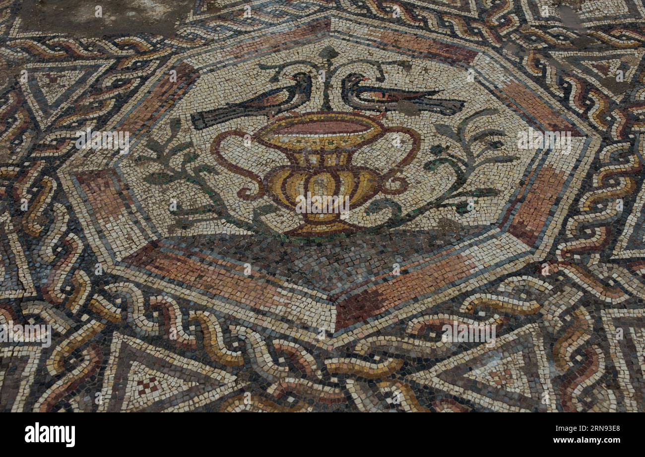 https://c8.alamy.com/comp/2RN93E8/lod-israel-part-of-a-1700-year-old-mosaic-is-seen-in-lod-a-city-east-of-tel-aviv-in-central-israel-on-nov-16-2015-israel-s-antiquities-authority-unveiled-monday-a-roman-era-floor-mosaic-which-was-unearthed-last-year-during-constructions-of-a-visitor-center-meant-to-exhibit-another-mosaic-discovered-two-decades-ago-in-the-same-place-archaeologists-said-that-the-breathtaking-mosaic-served-as-a-floor-of-a-villa-s-living-room-some-1700-years-ago-israel-lod-mosaic-uncovering-lixrui-publicationxnotxinxchn-lod-israel-part-of-a-1-700-year-old-mosaic-is-lakes-in-lod-a-city-east-of-tel-2RN93E8.jpg