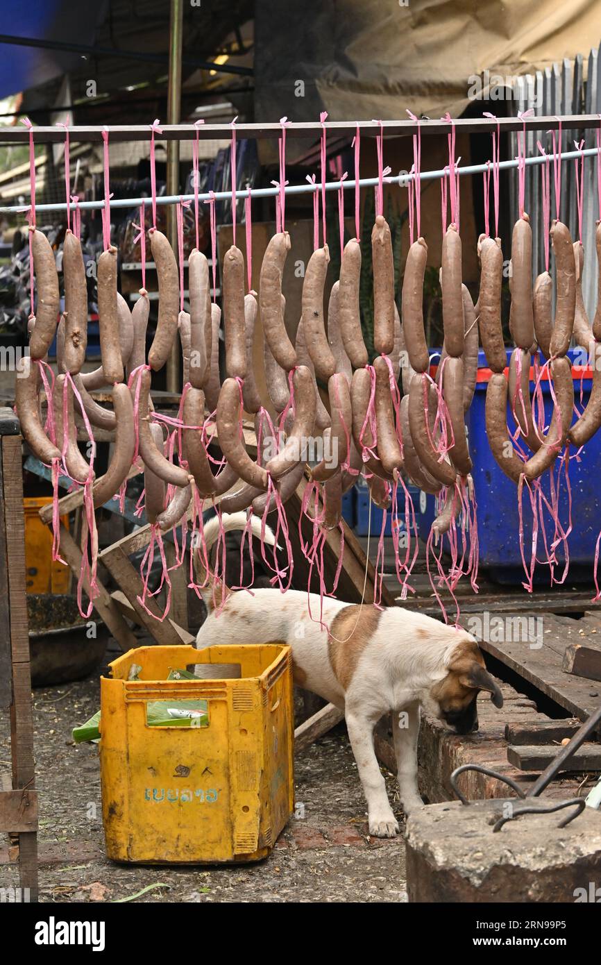 Dog meat market hi res stock photography and images Alamy
