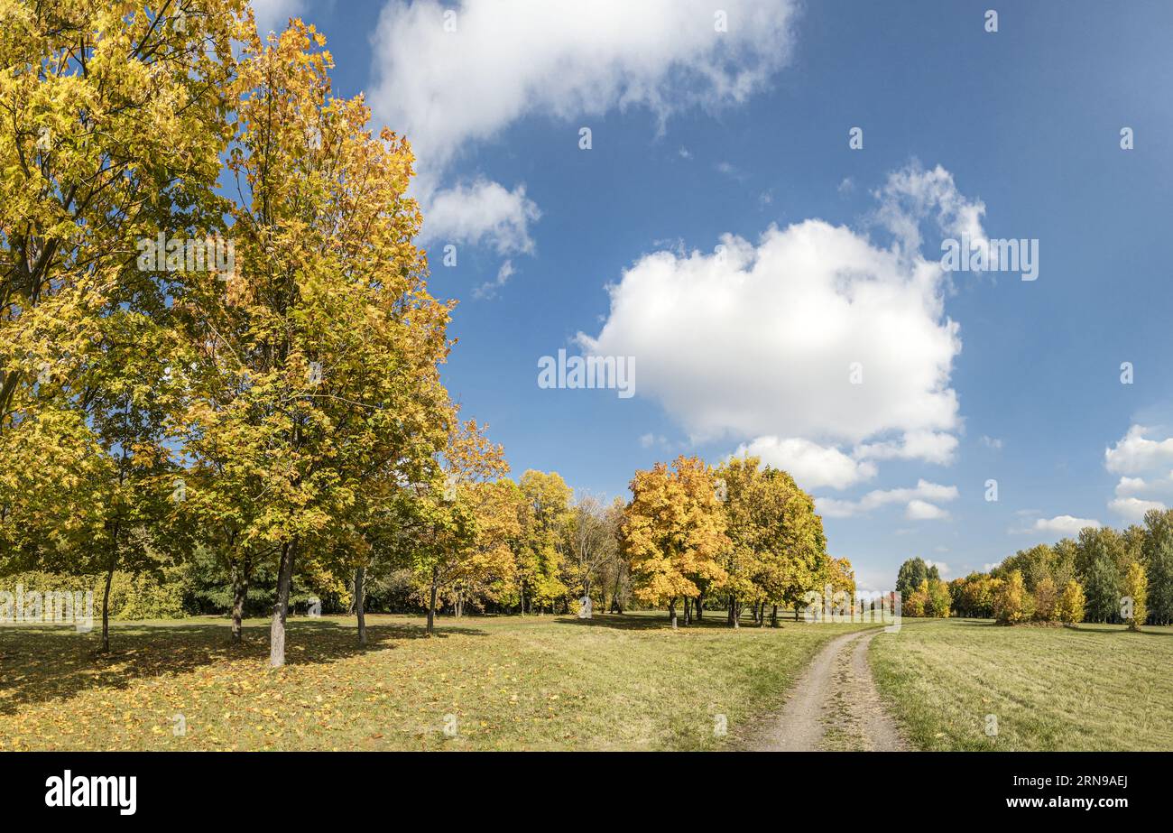 autumn rural scenery with country road among colorful yellow trees on blue sky background Stock Photo