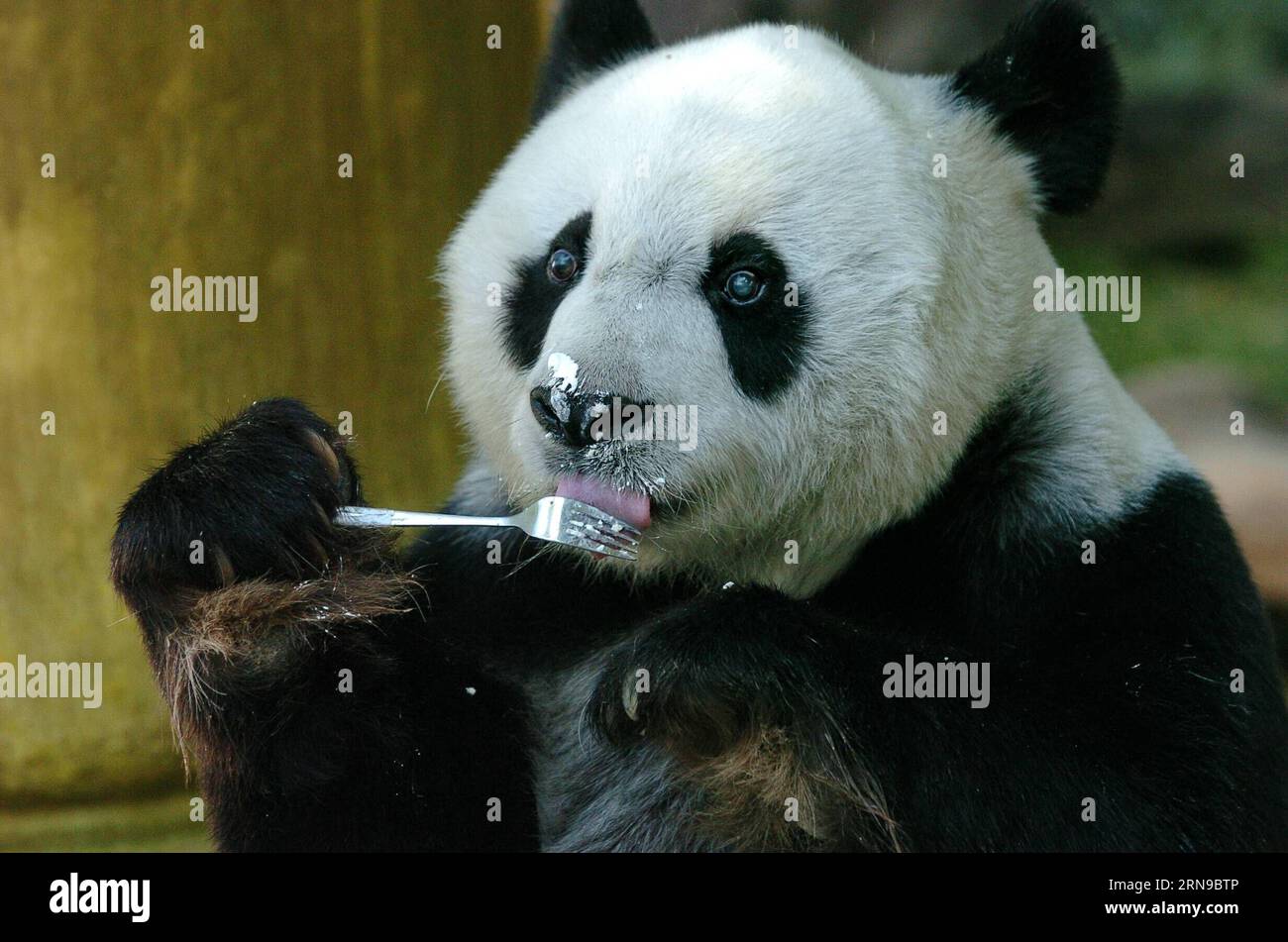 (151128) -- FUZHOU,2015 -- File photo taken on Dec. 18, 2005 shows ...