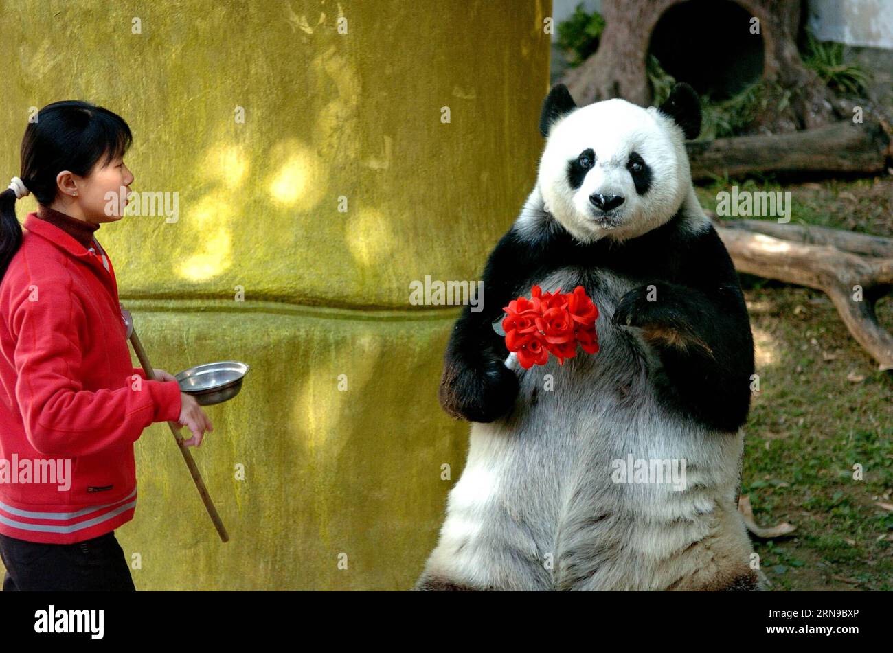 (151128) -- FUZHOU,2015 -- File photo taken on Dec. 18, 2005 shows ...