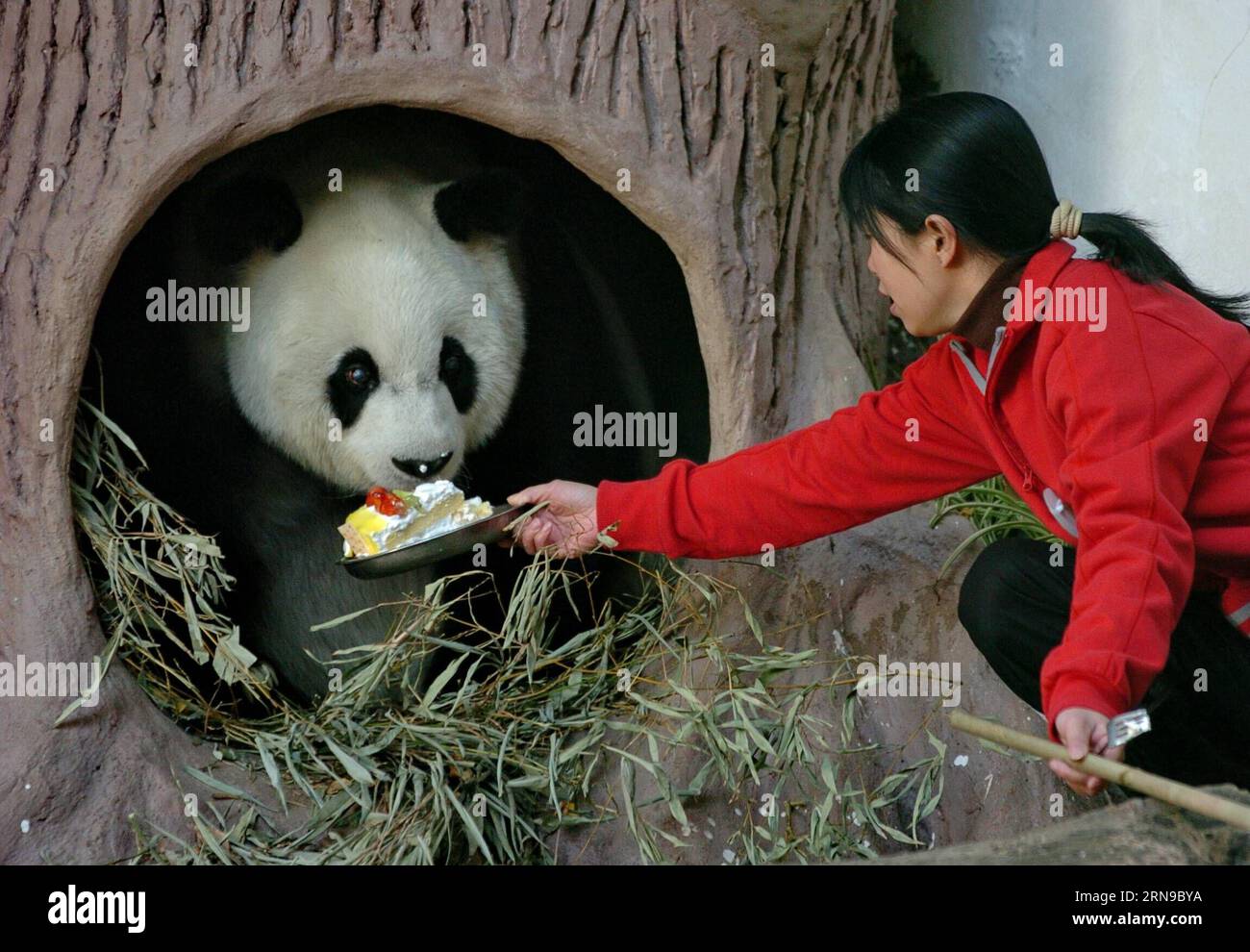 (151128) -- FUZHOU,2015 -- File photo taken on Dec. 18, 2005 shows ...