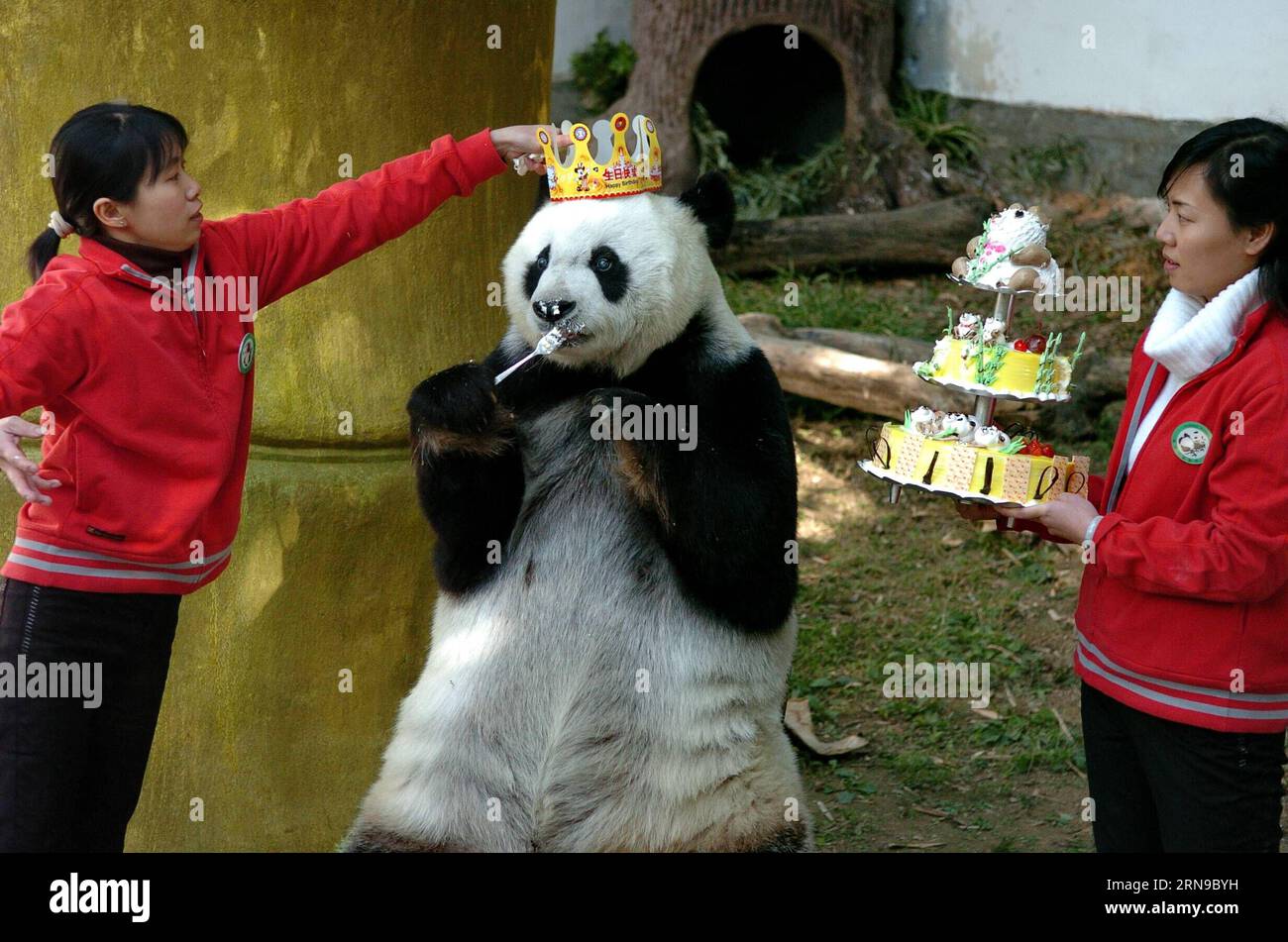 (151128) -- FUZHOU,2015 -- File photo taken on Dec. 18, 2005 shows ...