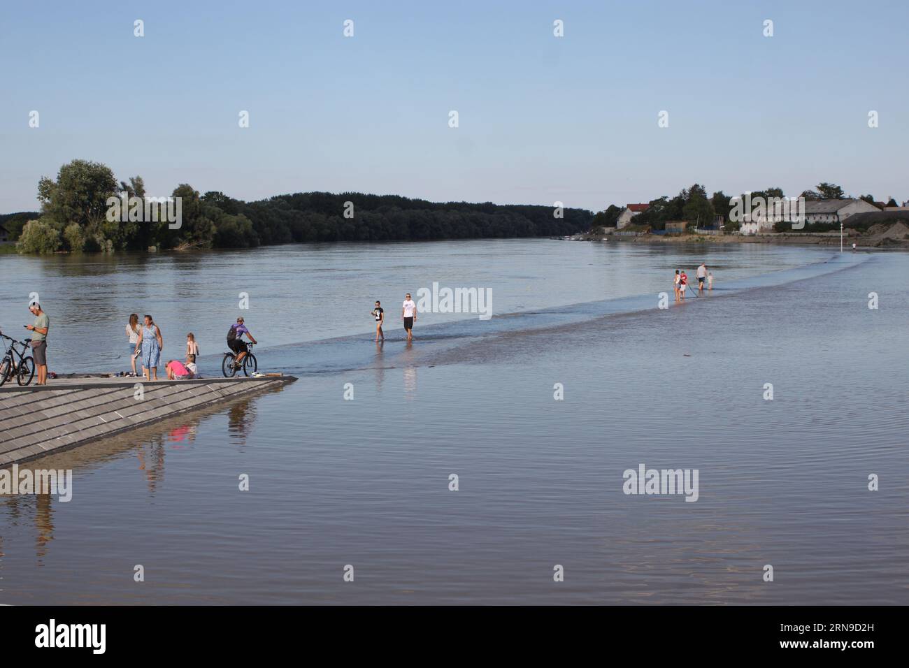 'Walking on water' on the Drava river near Osijek at a water level of 358 centimeters Stock Photo
