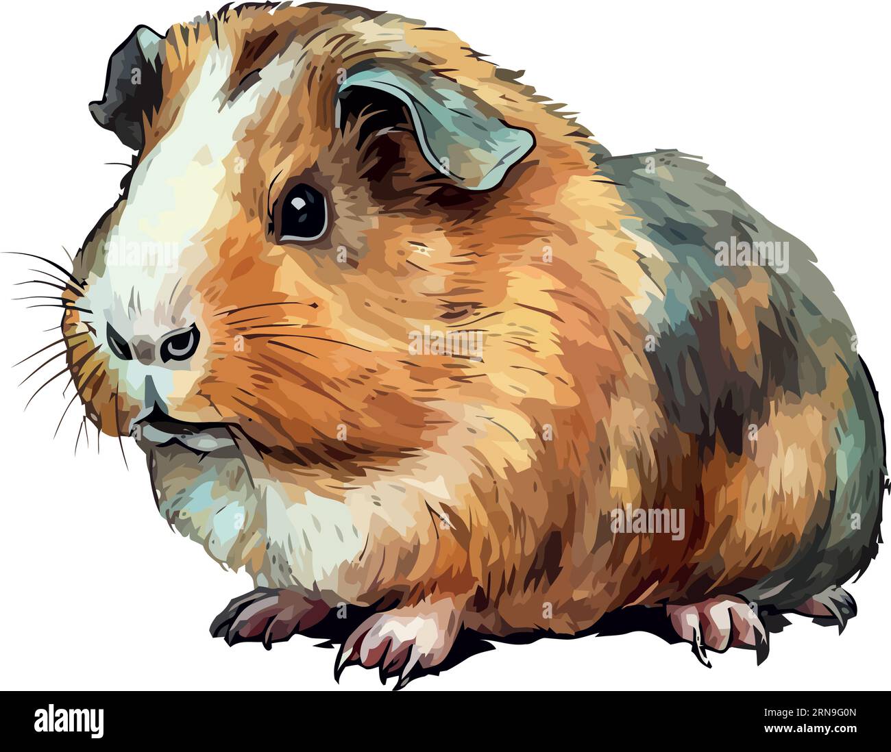 Cute guinea pig sitting on white background Stock Vector