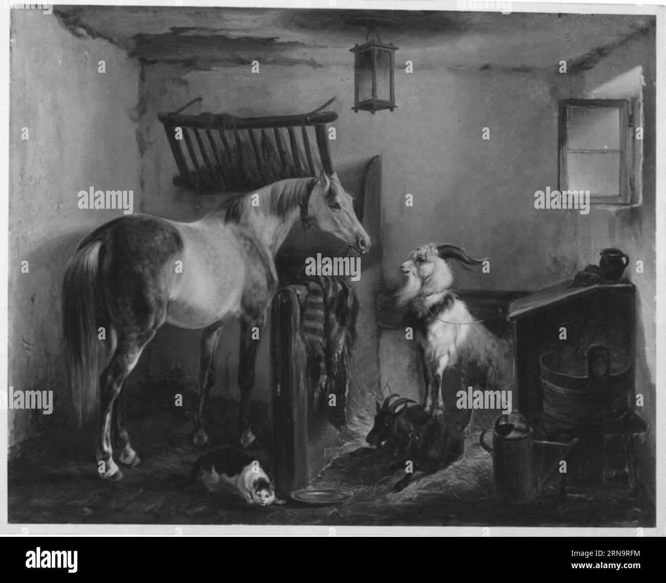 Landlicher stall hi-res stock photography and images - Alamy