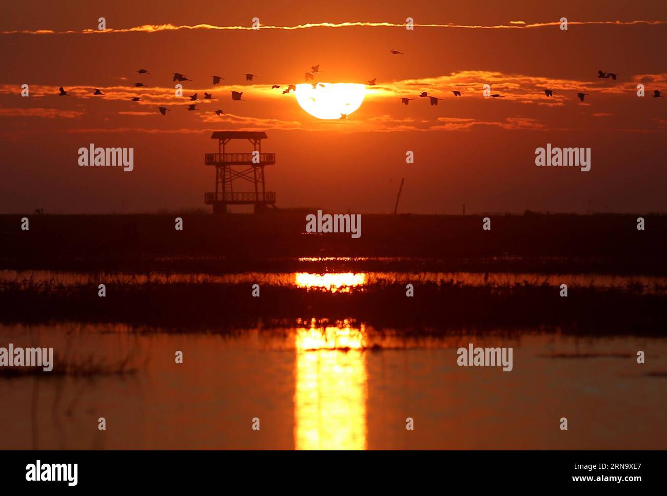 (151223) -- BAGO, Dec. 23, 2015 -- Photo taken on Dec. 23, 2015 shows birds flying over Moeyungyi Wetland Wildlife Sanctuary in Bago region, Myanmar. Moeyungyi Wetlands is situated in Bago Division. Every year, millions of birds usually fly from the northern hemisphere to the south along the East-Asian Australian Flyway to escape from winter. They stop to rest and feed in Asia. So the flyway contains a network of wetlands and Moeyungyi is one of which could cooperate to certain migrated as well as domestic birds. ) MYANMAR-BAGO-WETLAND-WILDLIFE UxAung PUBLICATIONxNOTxINxCHN   151223 Bago DEC 2 Stock Photo