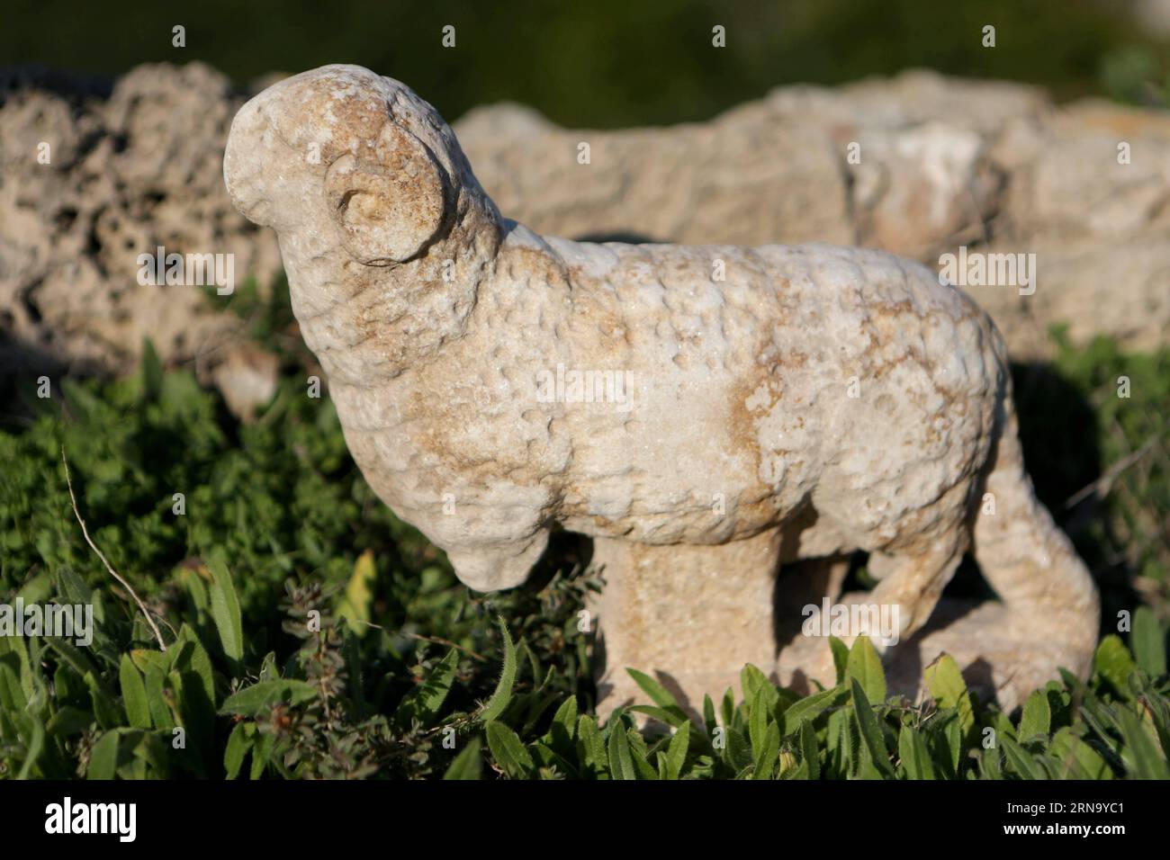 (151224) -- JERUSALEM, Dec. 24, 2015 -- Photo taken on Dec. 24, 2015 shows a Byzantine-era marble sculpture of a lamb unearthed in Israel. Archaeologists on Thusday unearthed a Byzantine-era marble sculpture of a lamb near the Ancient Caesarea Church in the Caesarea National Park, in northern Israel. Experts believe that the lamb served as part of the decoration in the 6th-7th century CE church that was discovered adjacent to the ancient port. ) MIDEAST-ISRAEL-ARCHAEOLOGY-BYZANTINE-ERA-MARBLE SCULPTURE Jinipix/NimrodxGlikman PUBLICATIONxNOTxINxCHN   151224 Jerusalem DEC 24 2015 Photo Taken ON Stock Photo