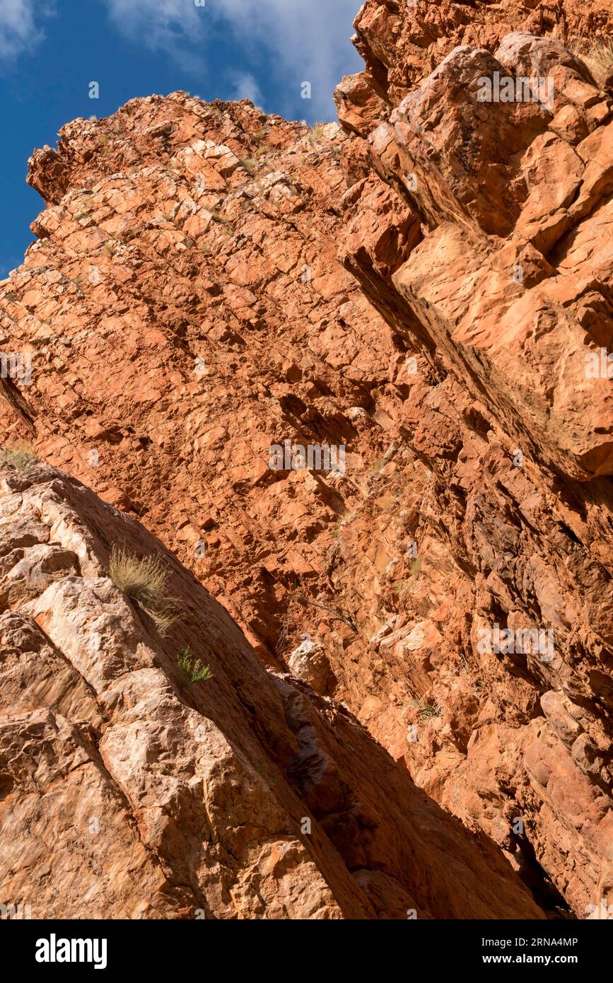 Siltstone walls with mica and quartz schist pushed up by metamorphosis at Emily Gap (Yeperenye) near Alice Springs (Mparntwe) in Central Australia Stock Photo