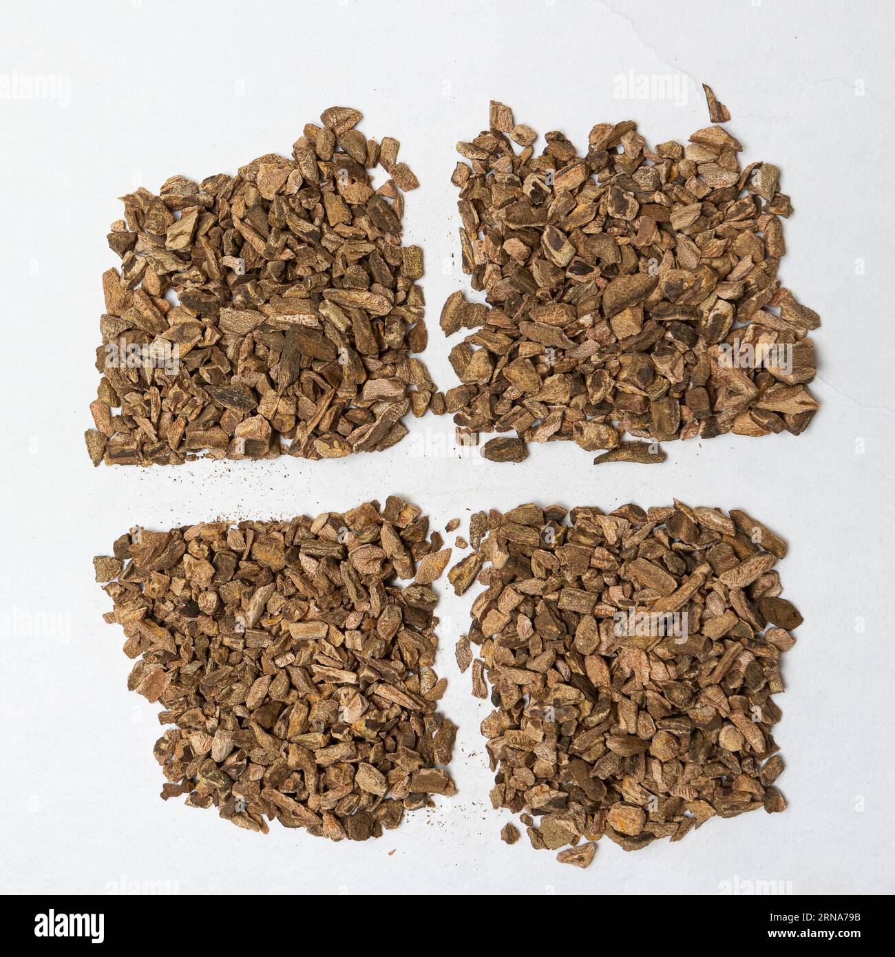 Pile of dried bitter orange blossoms, Citrus × aurantium, set up for ...